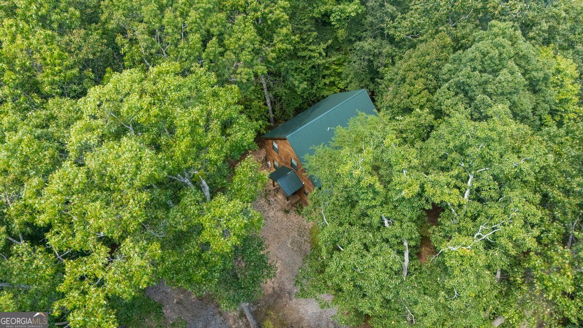 63 Collinsbrook Trail Property Photo 44