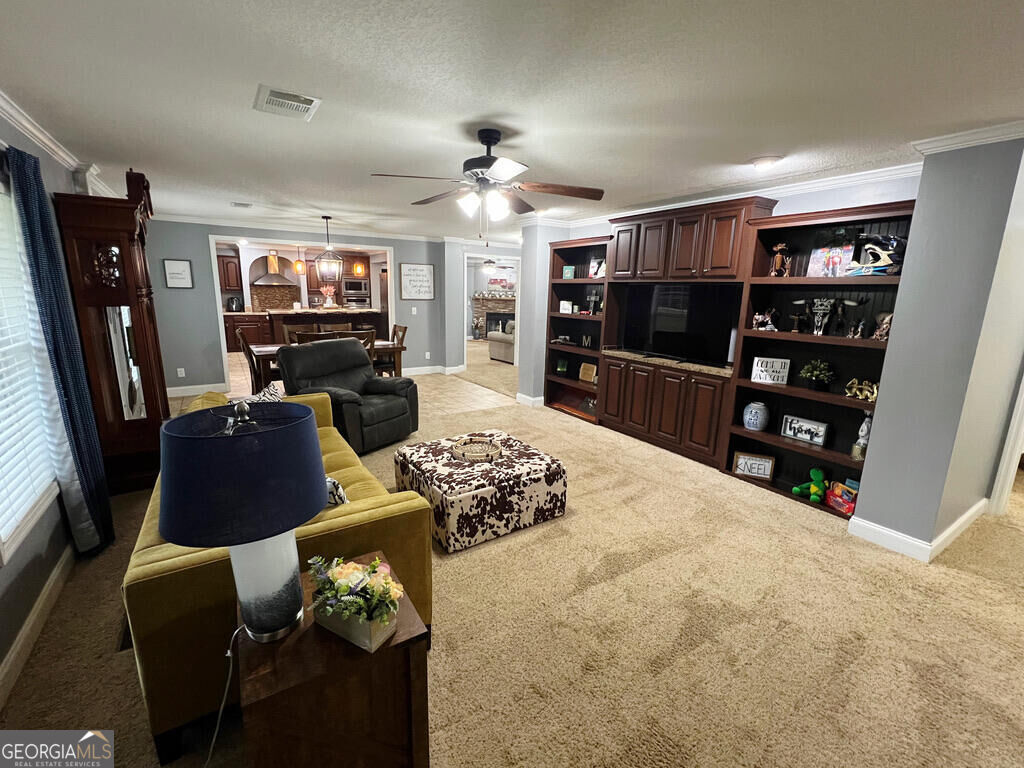 9400 Ga Highway 24 Property Photo 5