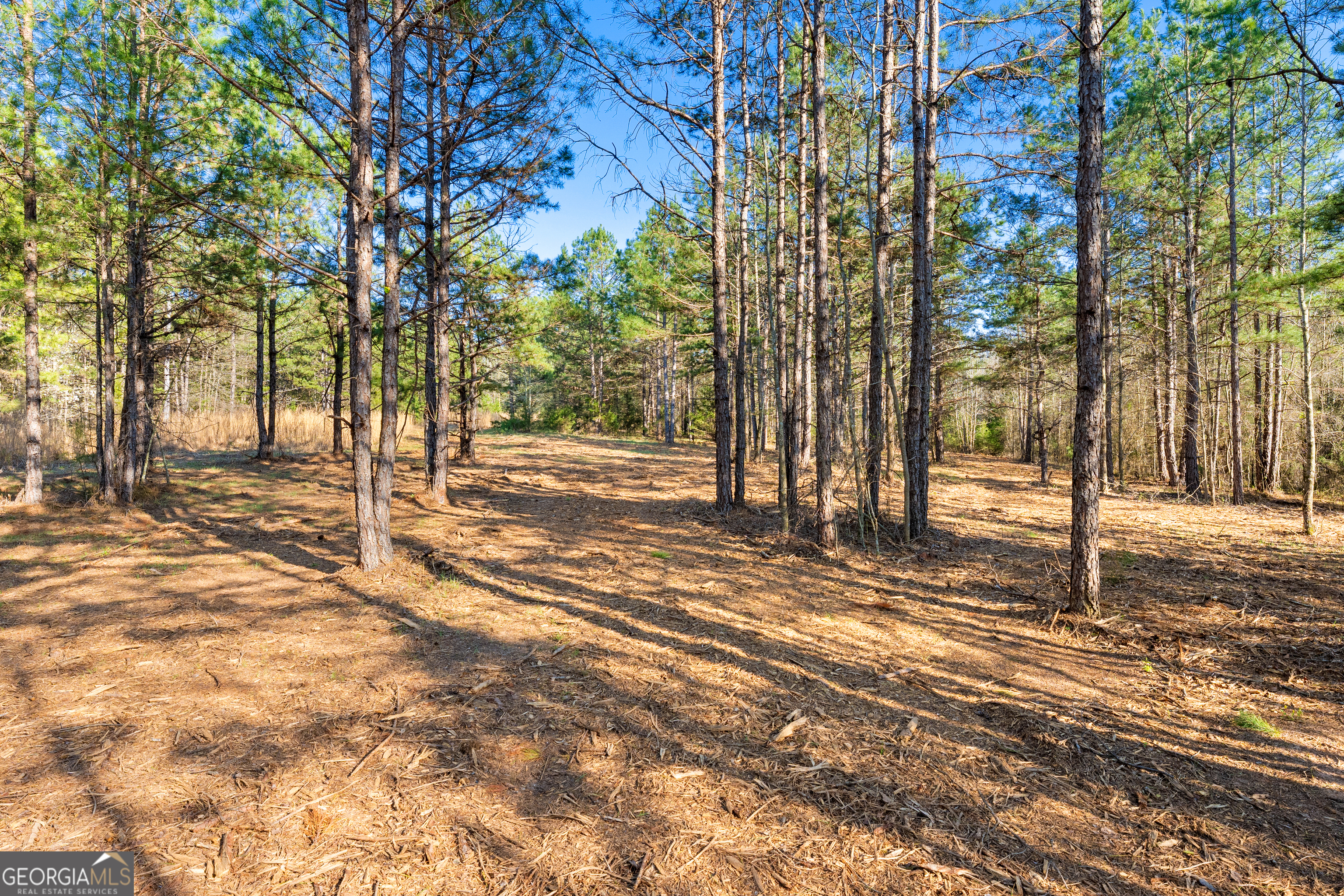 10 Ridgeview Point Property Photo 5