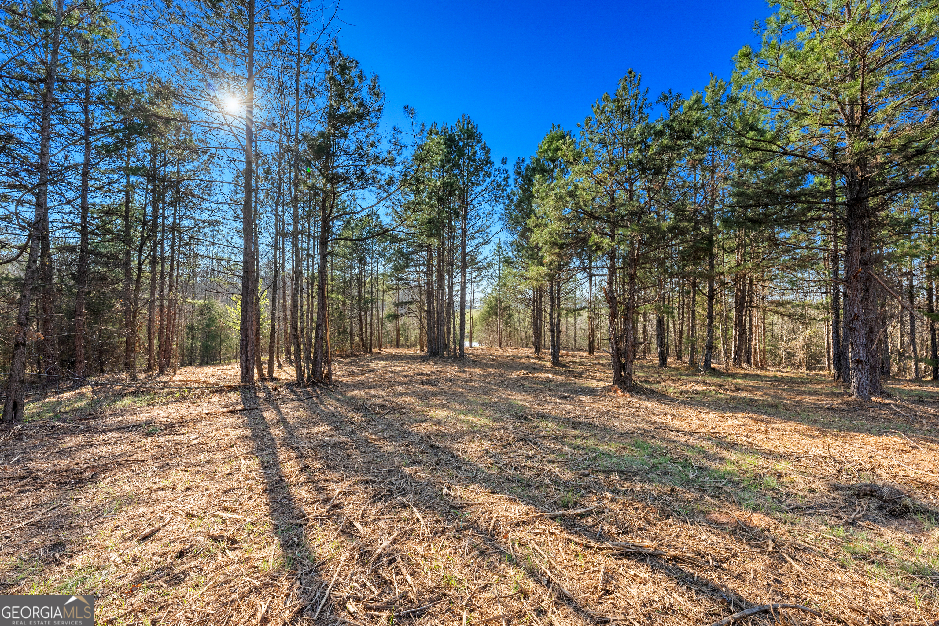 10 Ridgeview Point Property Photo 6