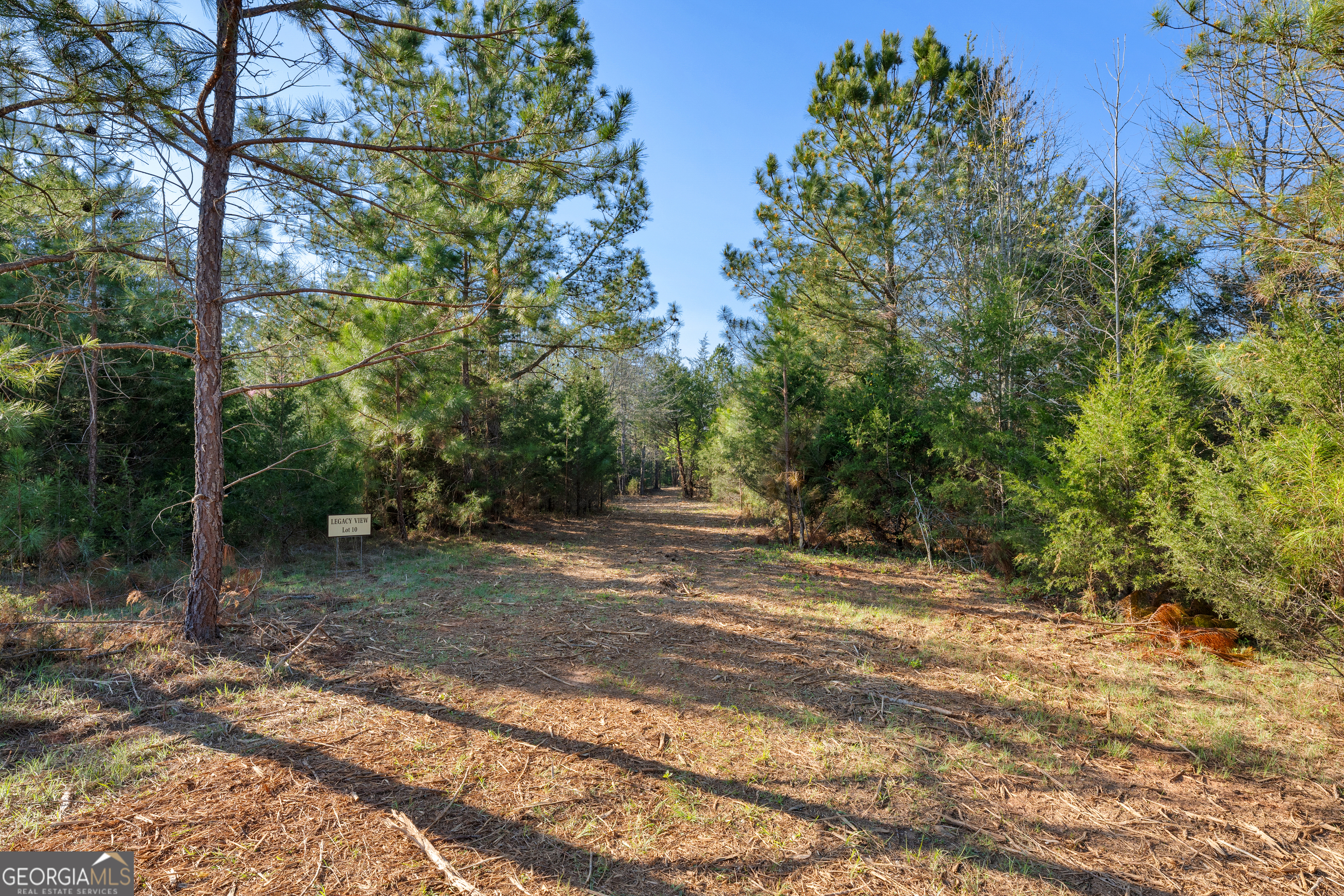10 Ridgeview Point Property Photo 7