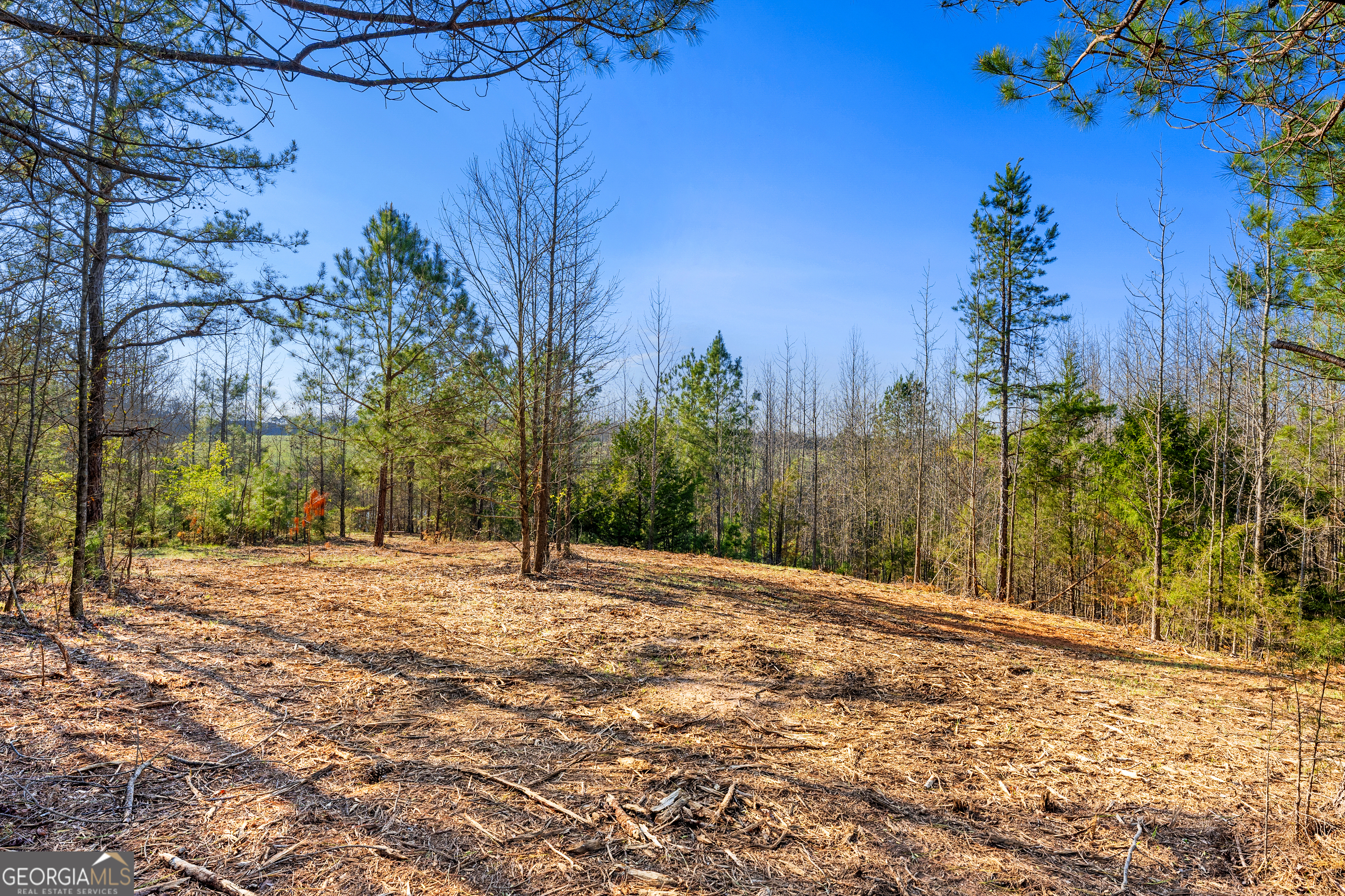 10 Ridgeview Point Property Photo 8