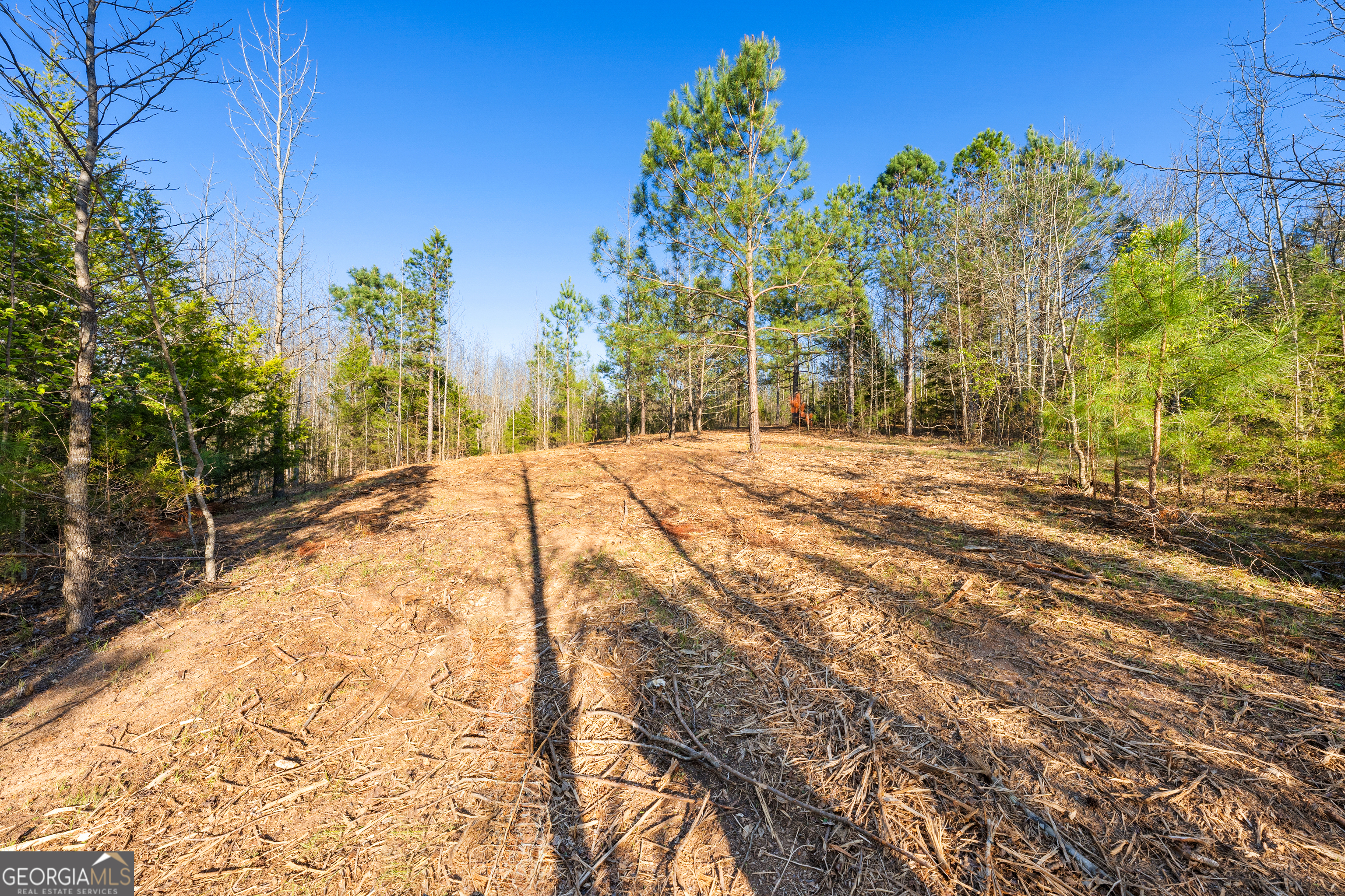 10 Ridgeview Point Property Photo 9