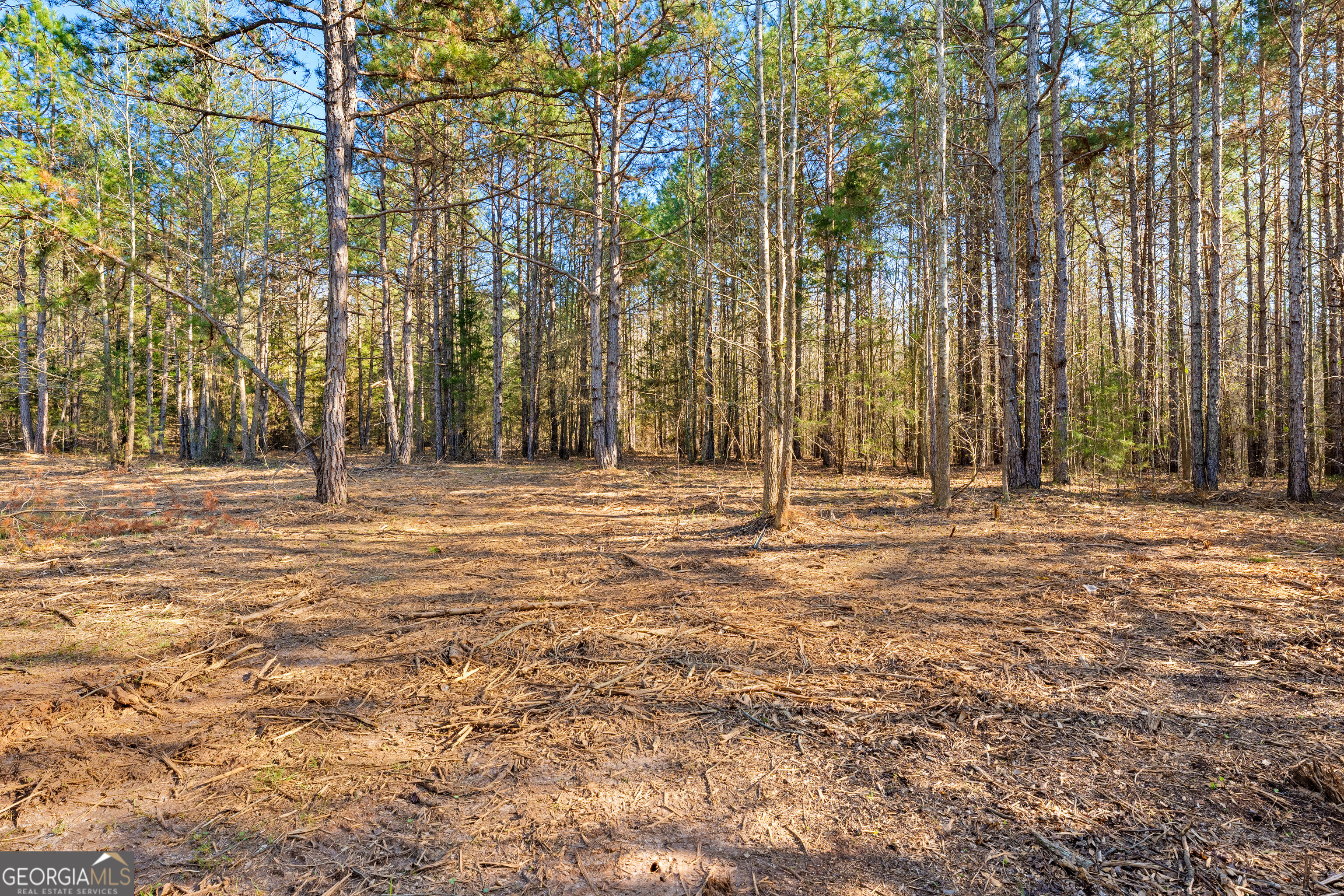 10 Ridgeview Point Property Photo 16
