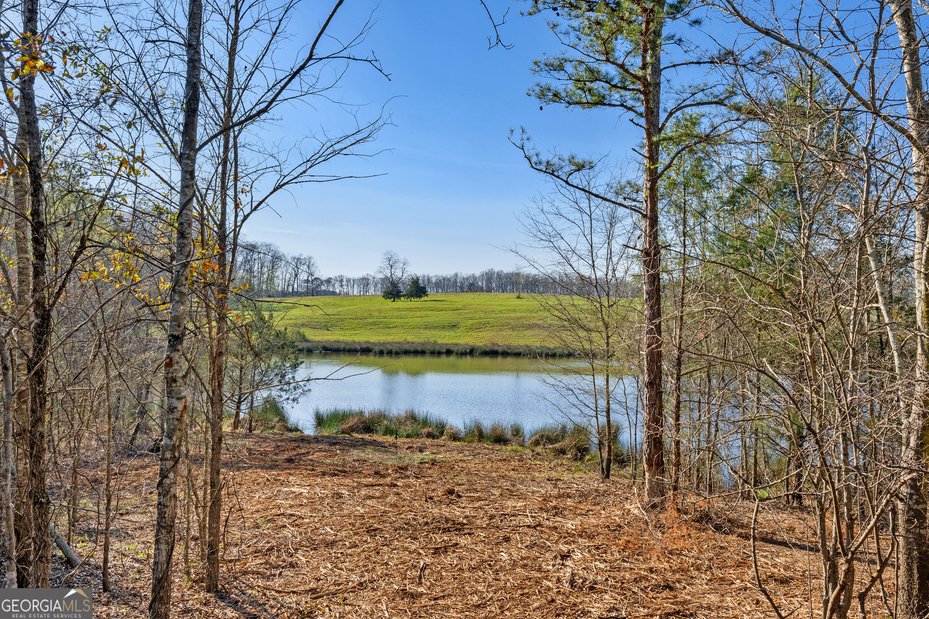 10 Ridgeview Point Property Photo 18