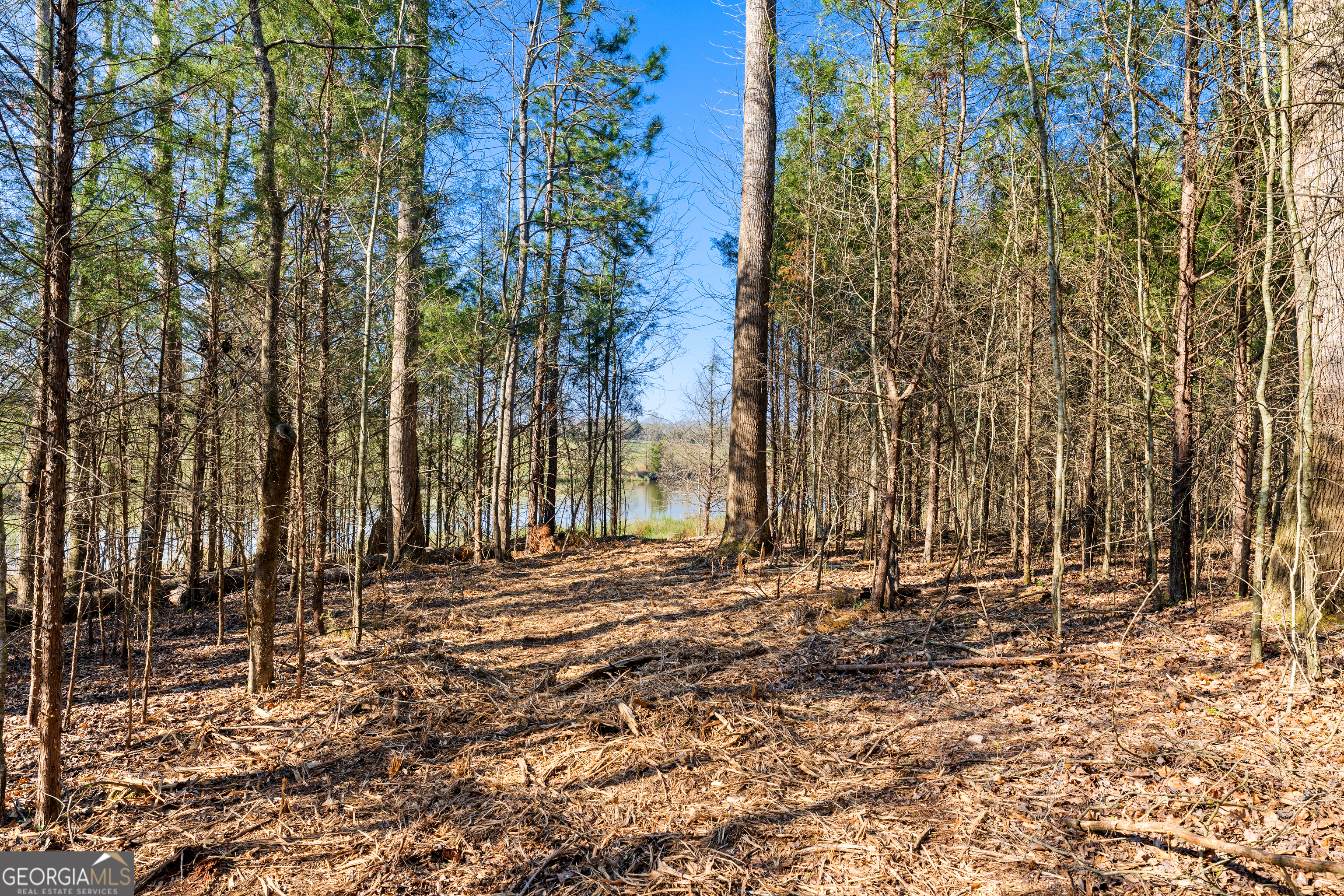 8 Ridgeview Point Property Photo 3
