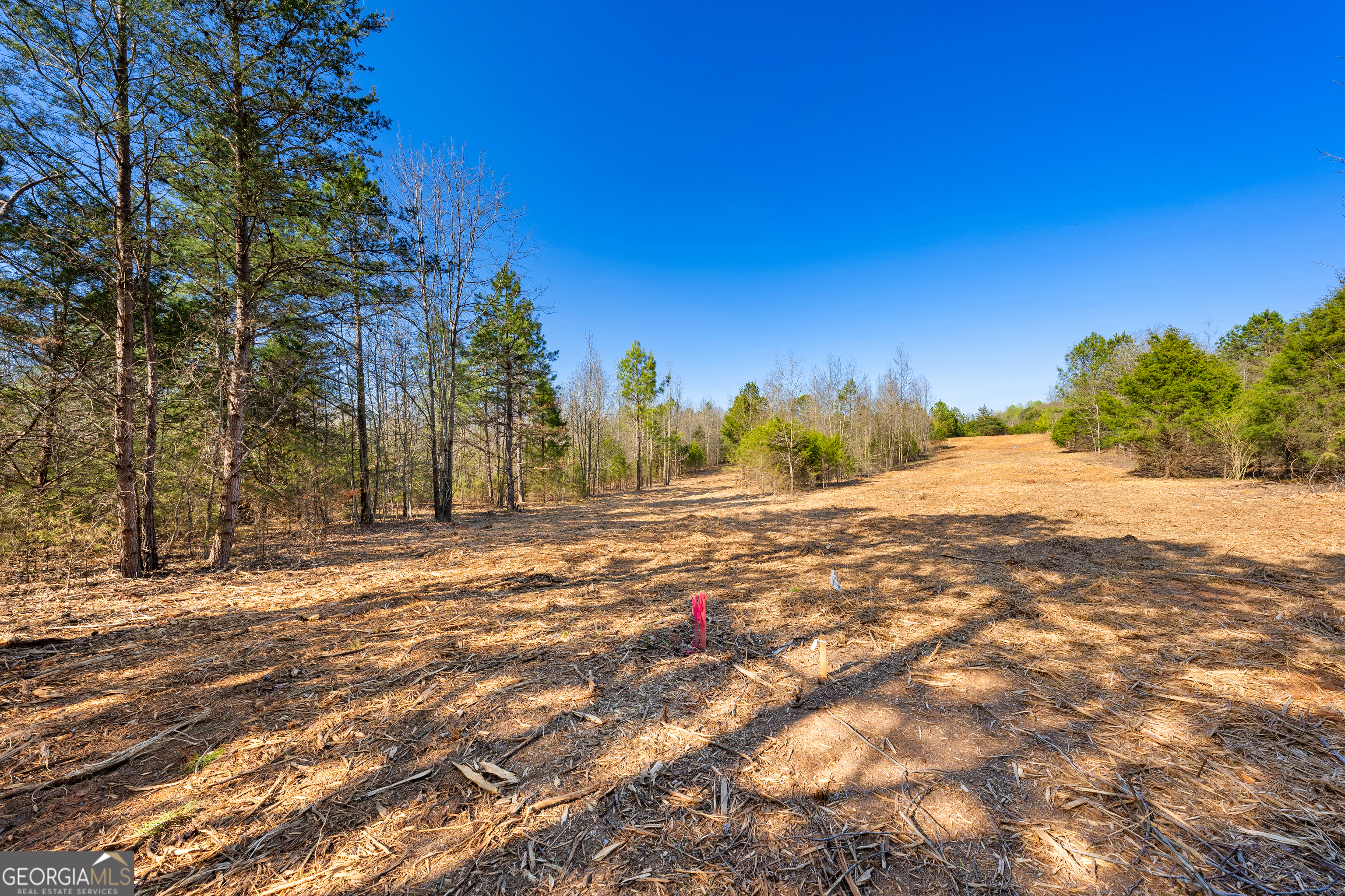8 Ridgeview Point Property Photo 6