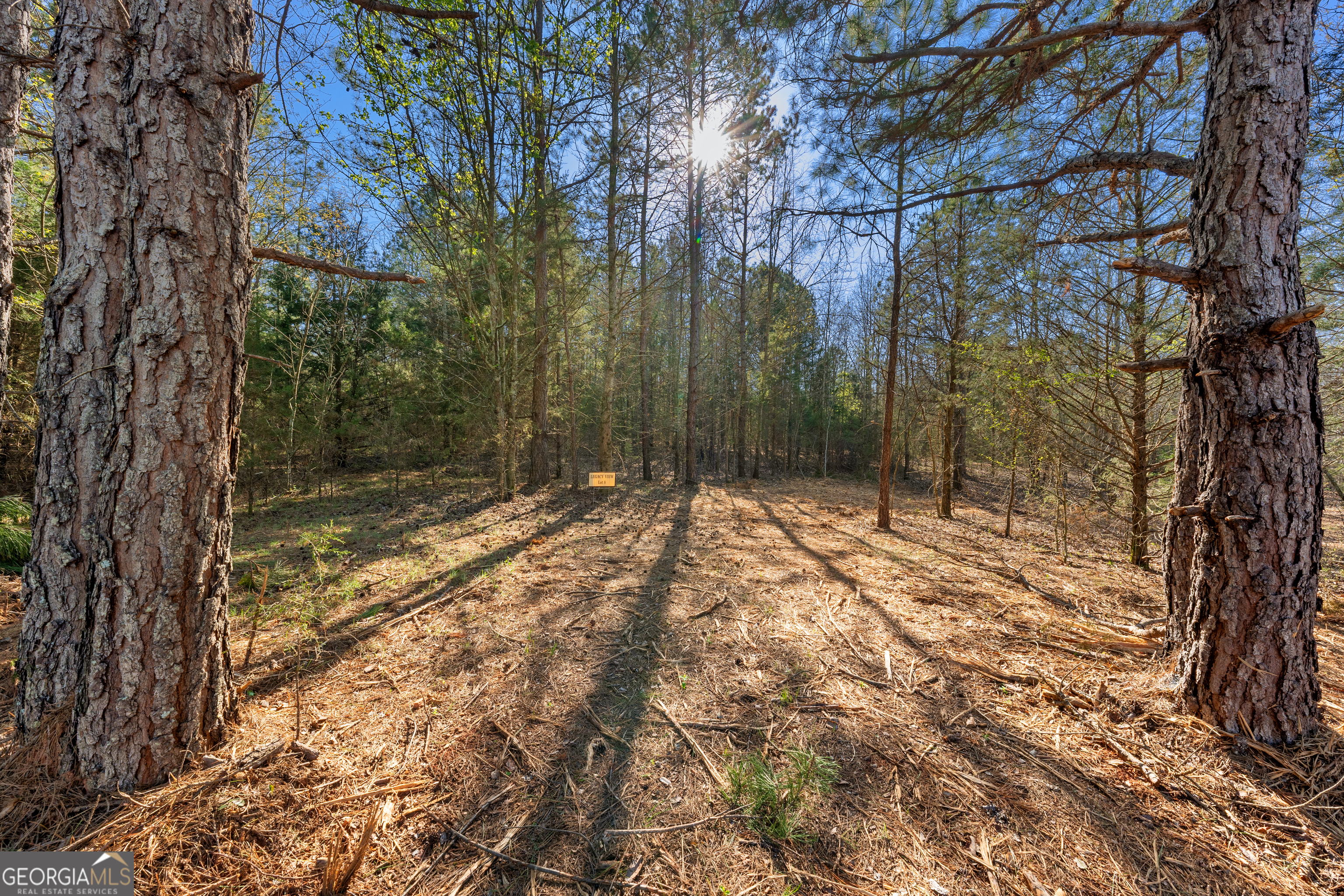 8 Ridgeview Point Property Photo 7