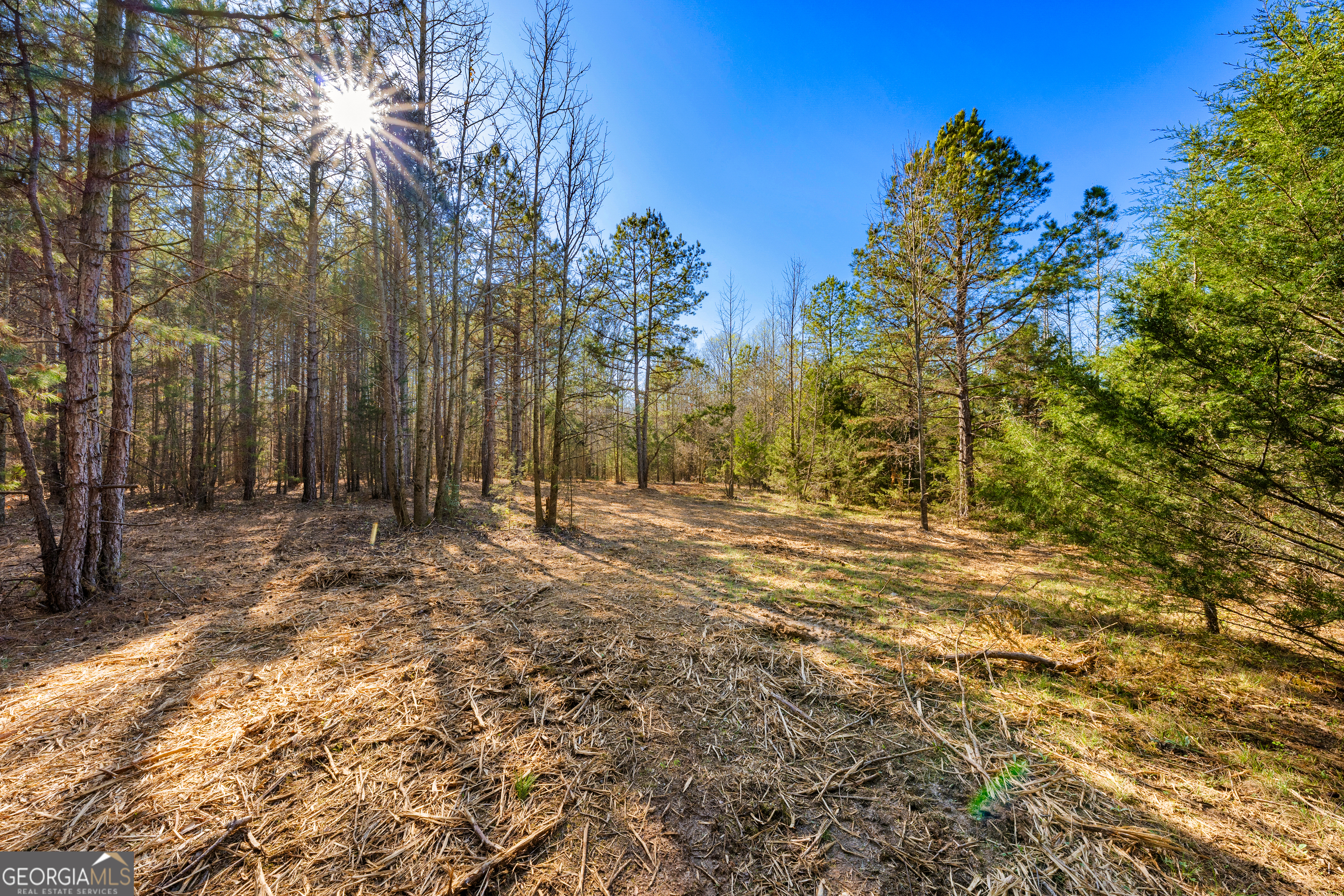 8 Ridgeview Point Property Photo 8