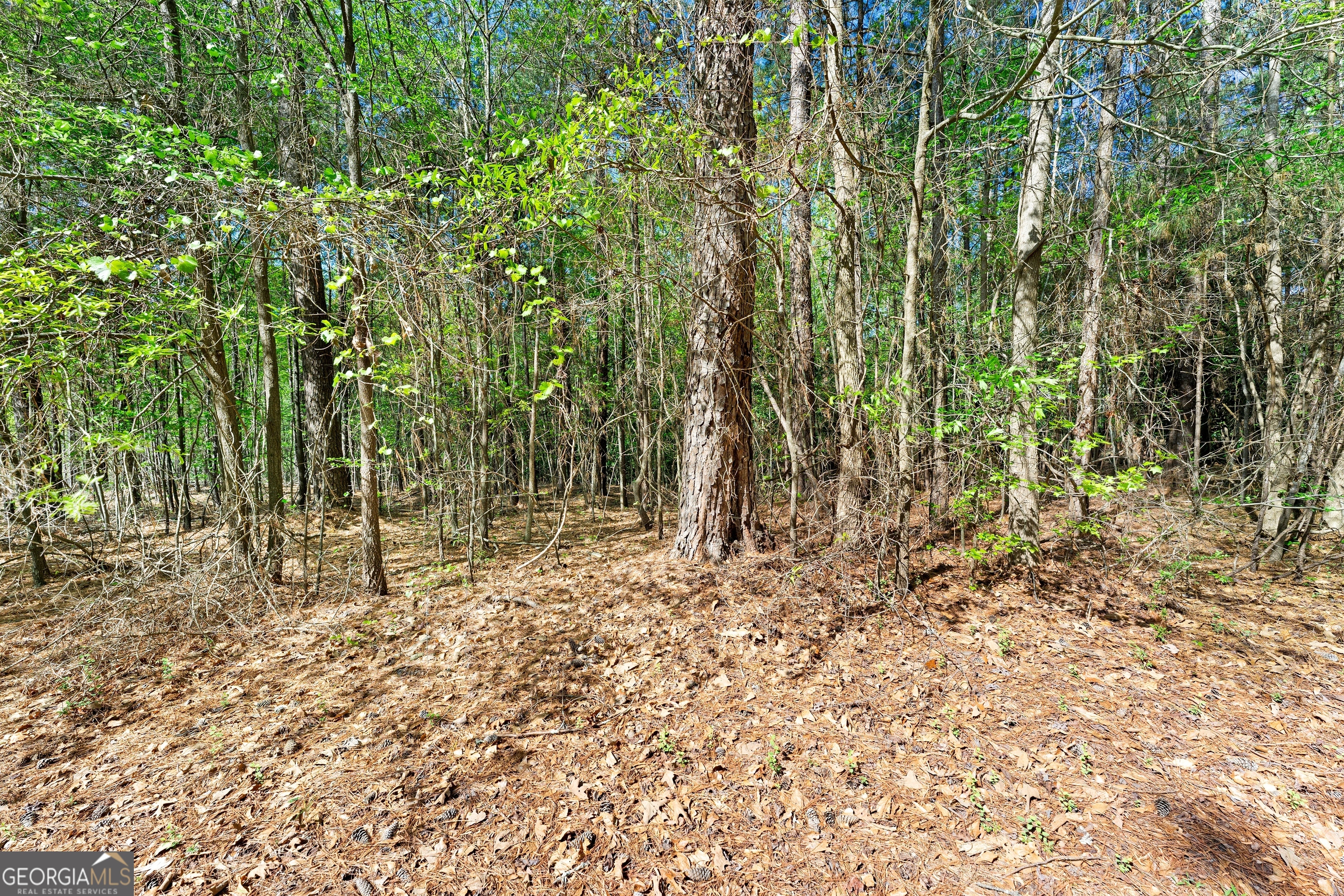132 Melody Point Property Photo 11