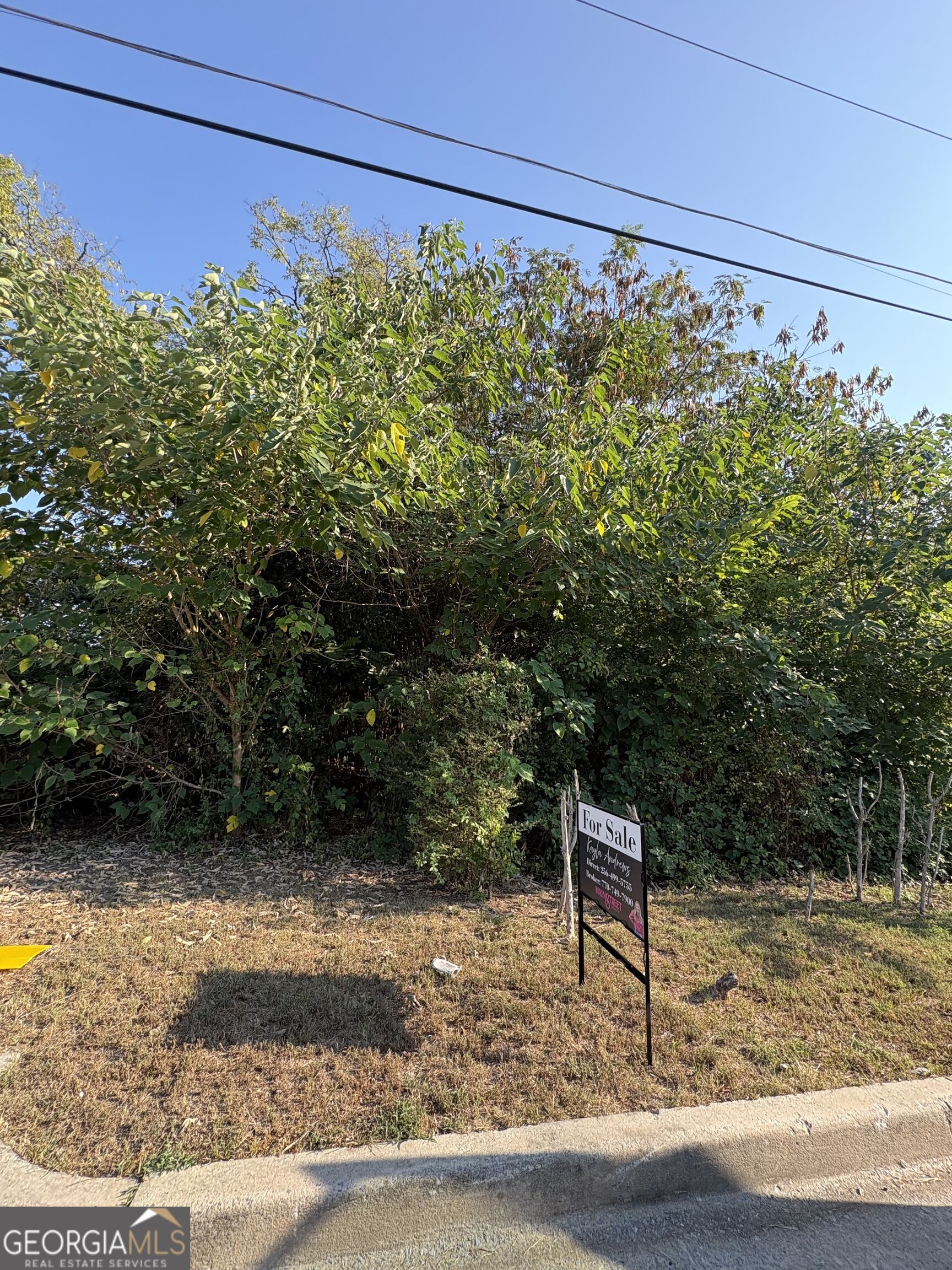 403 Brown Street SW