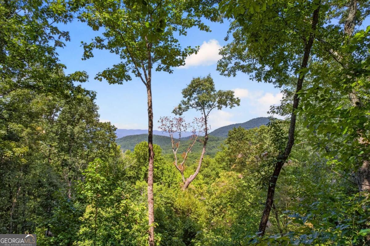 778 Walnut Mountain Road Property Photo 17