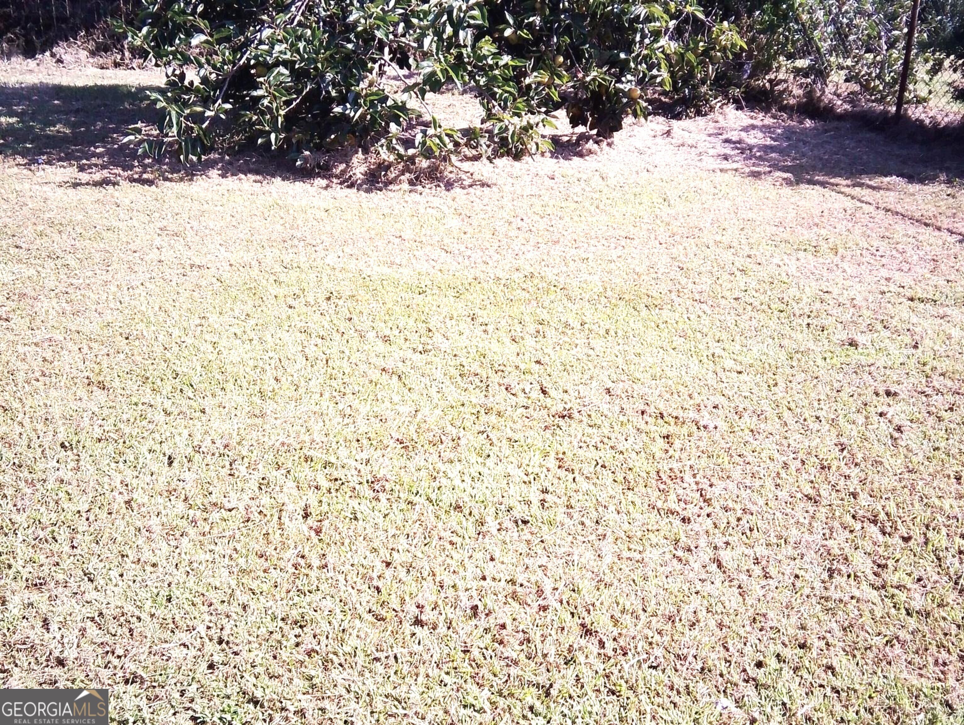 7787 Marabou Lane Property Photo 12