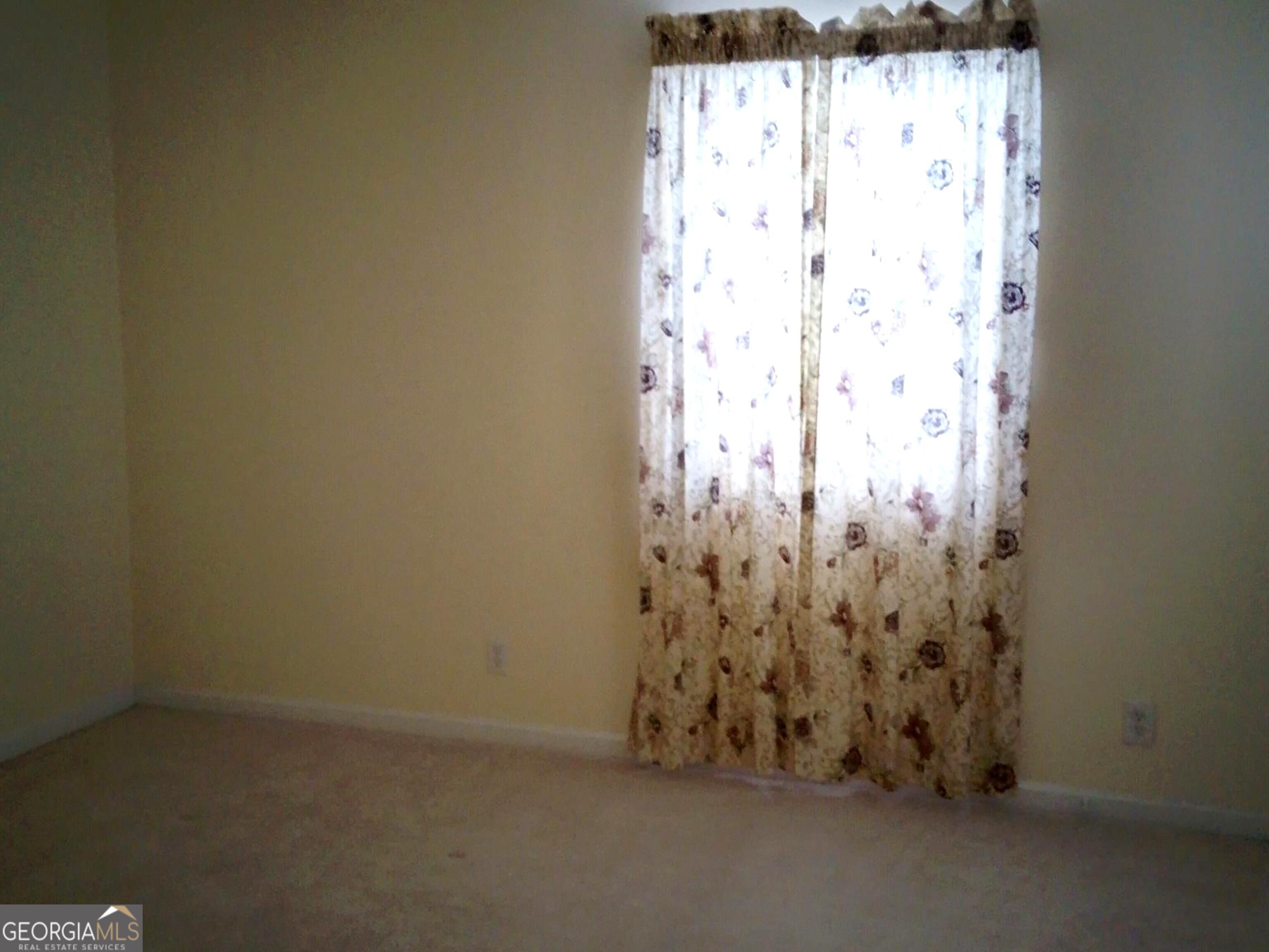 7787 Marabou Lane Property Photo 28