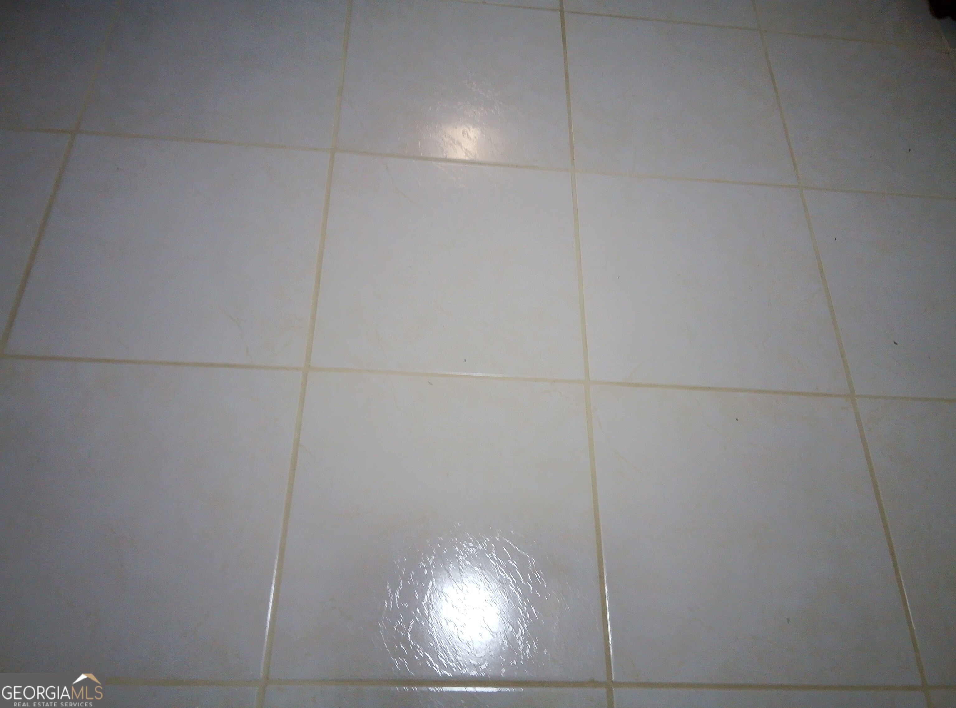 7787 Marabou Lane Property Photo 57