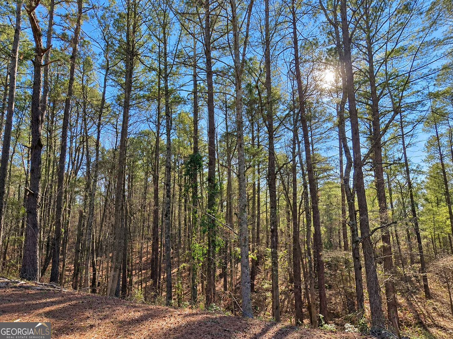 2.62 Acres Powellton Road Property Photo 7