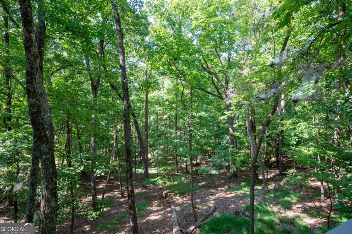 174 Trout Lily Trail Property Photo 40
