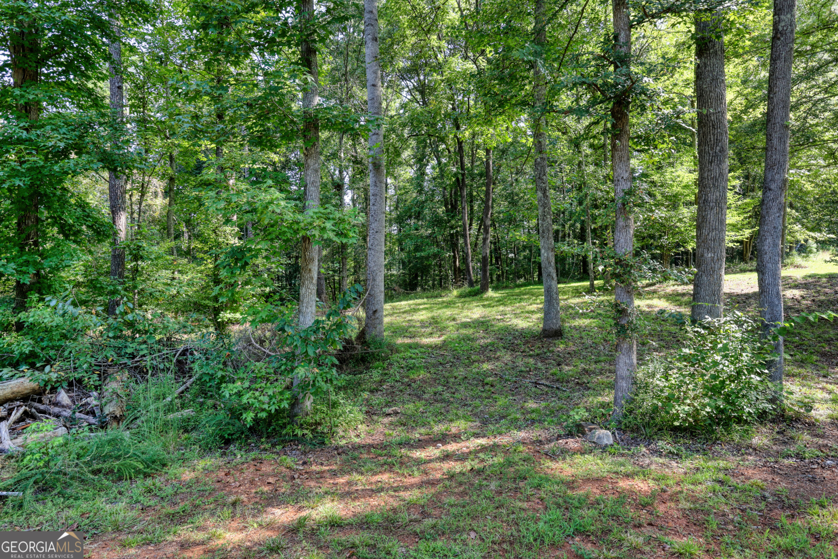 4370 Cole Road Property Photo 37