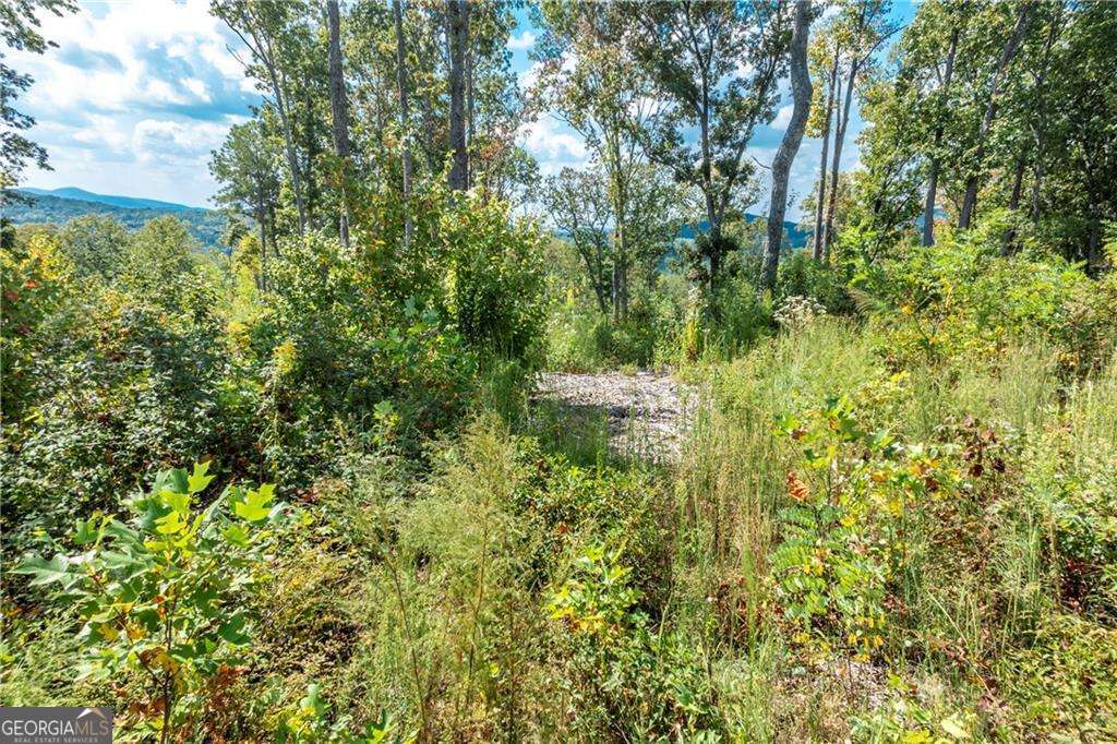 279 Highgrove Drive Property Photo 7