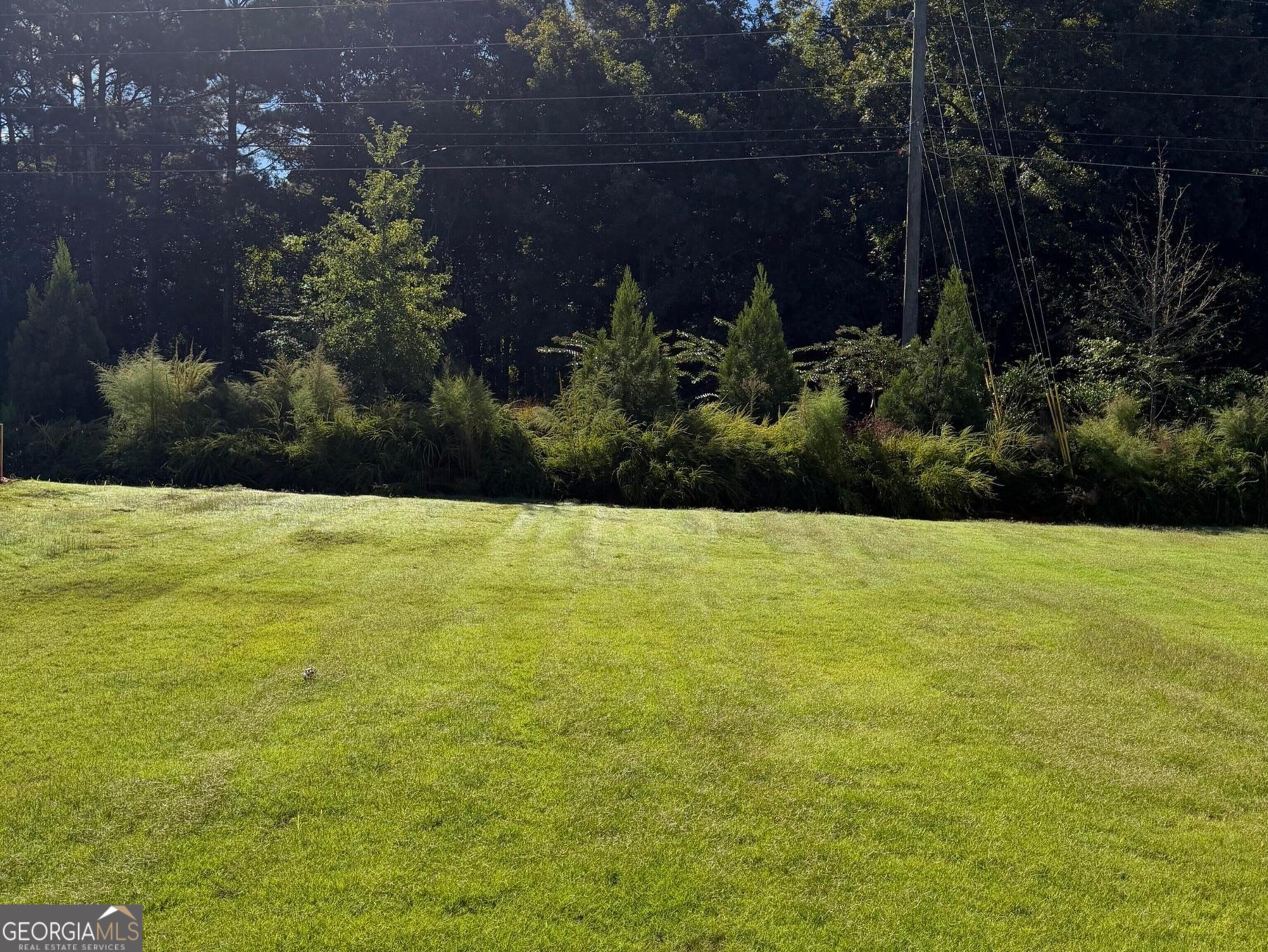 8135 Pine Ridge Road Property Photo 18