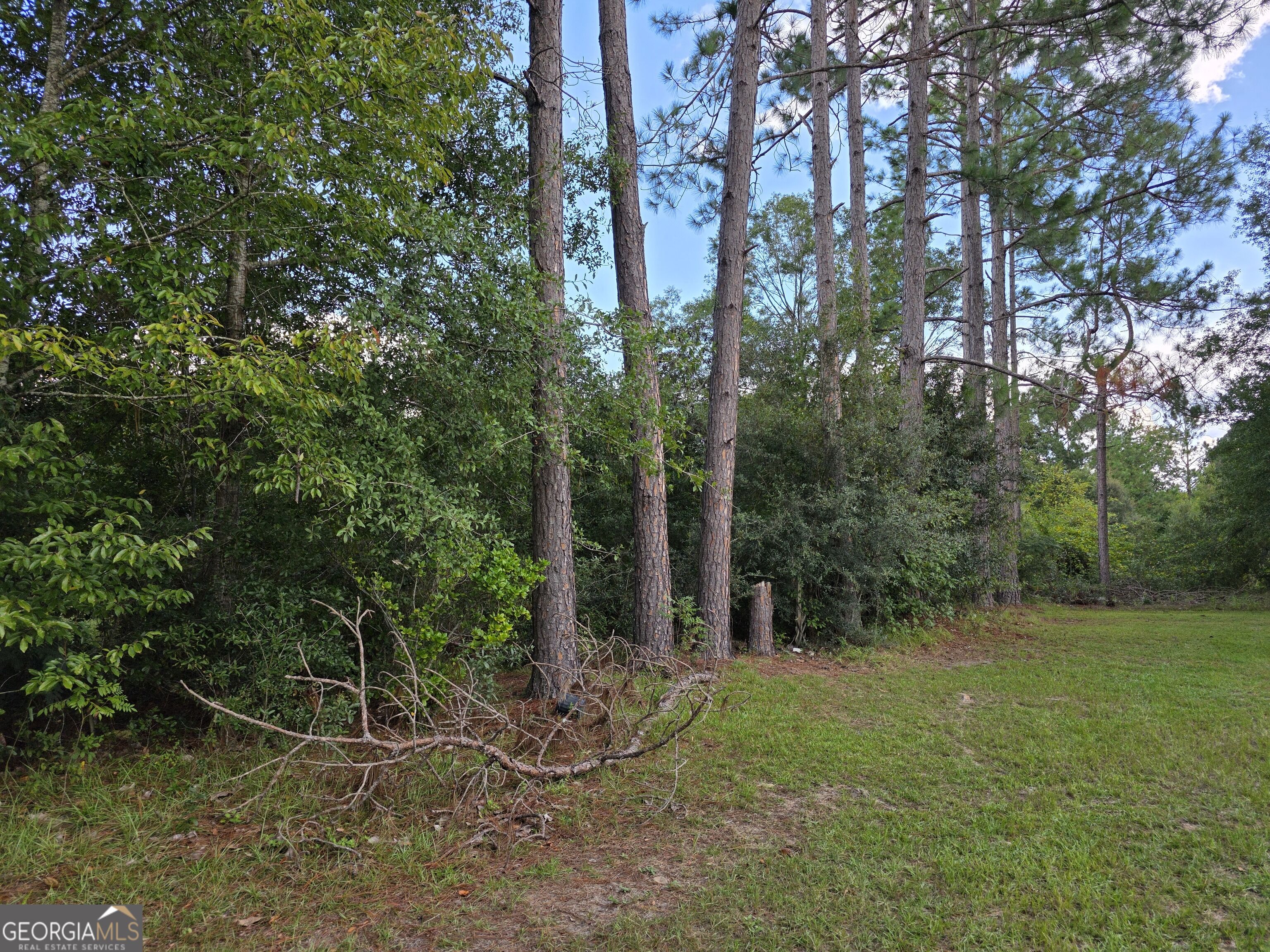 0 Melvin Lane Se Property Photo 1