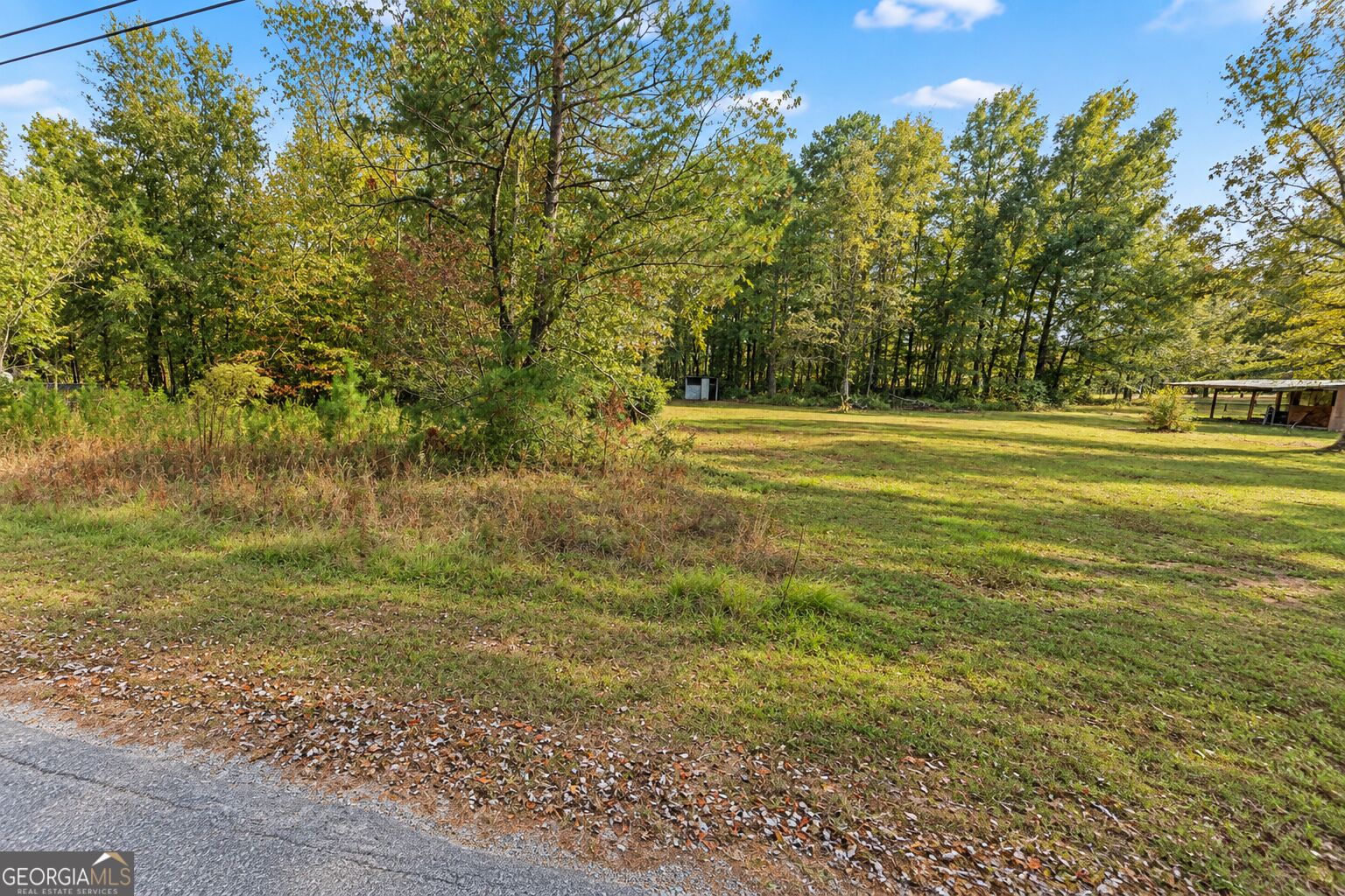.46 Acre Zerbee Lane Property Photo 5