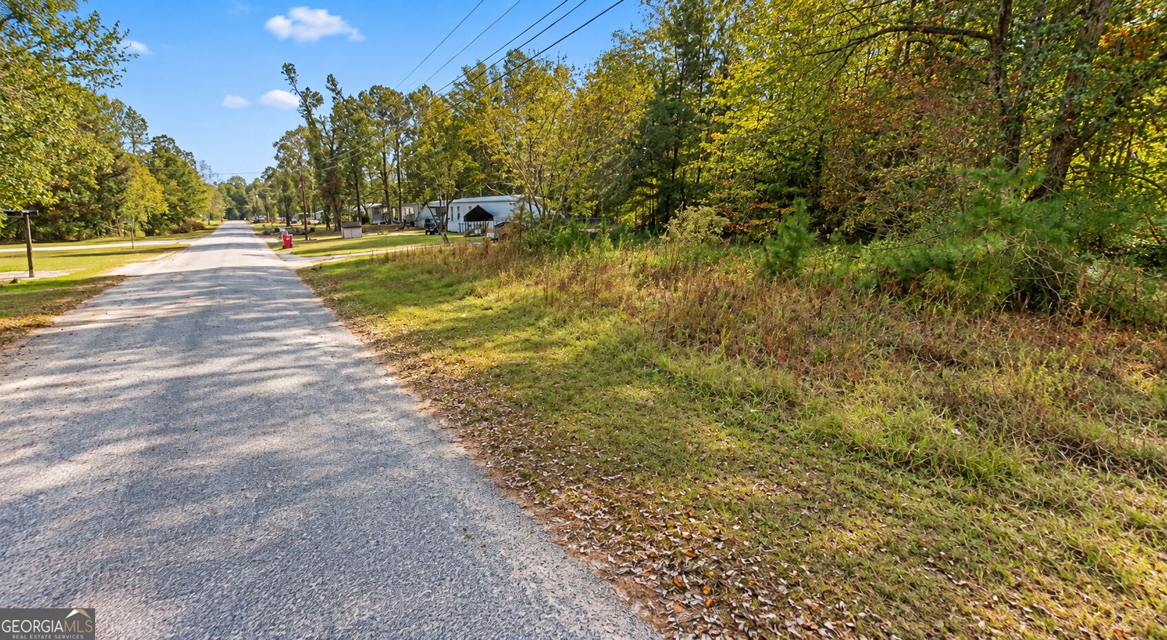 .46 Acre Zerbee Lane Property Photo 6
