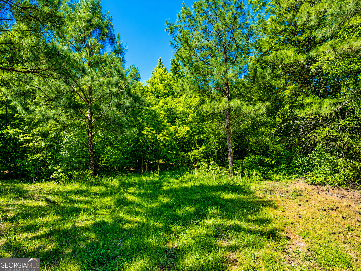 8 Acres Bandy Road Property Photo 4