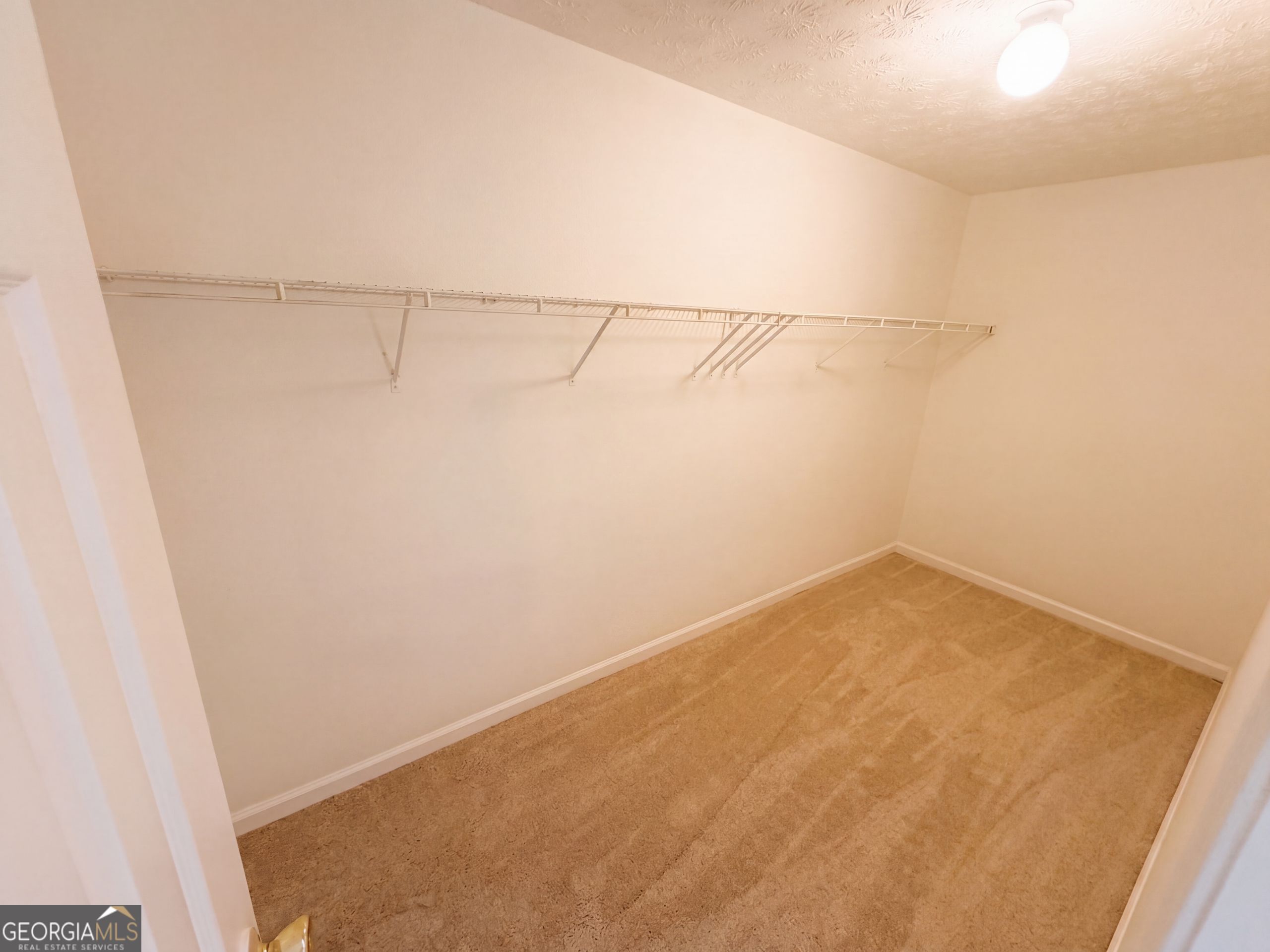 5410 Windswept Trace Property Photo 20
