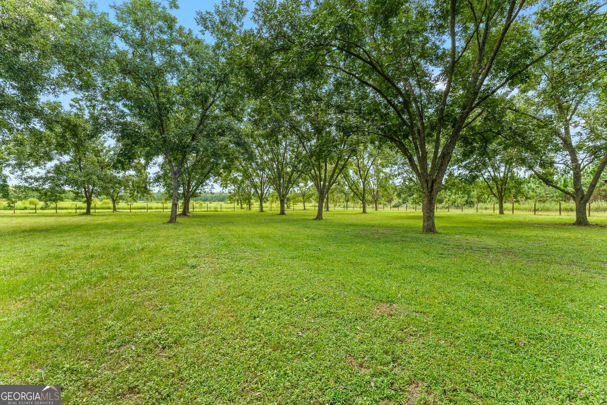 7919 Hwy 84 E Property Photo 54