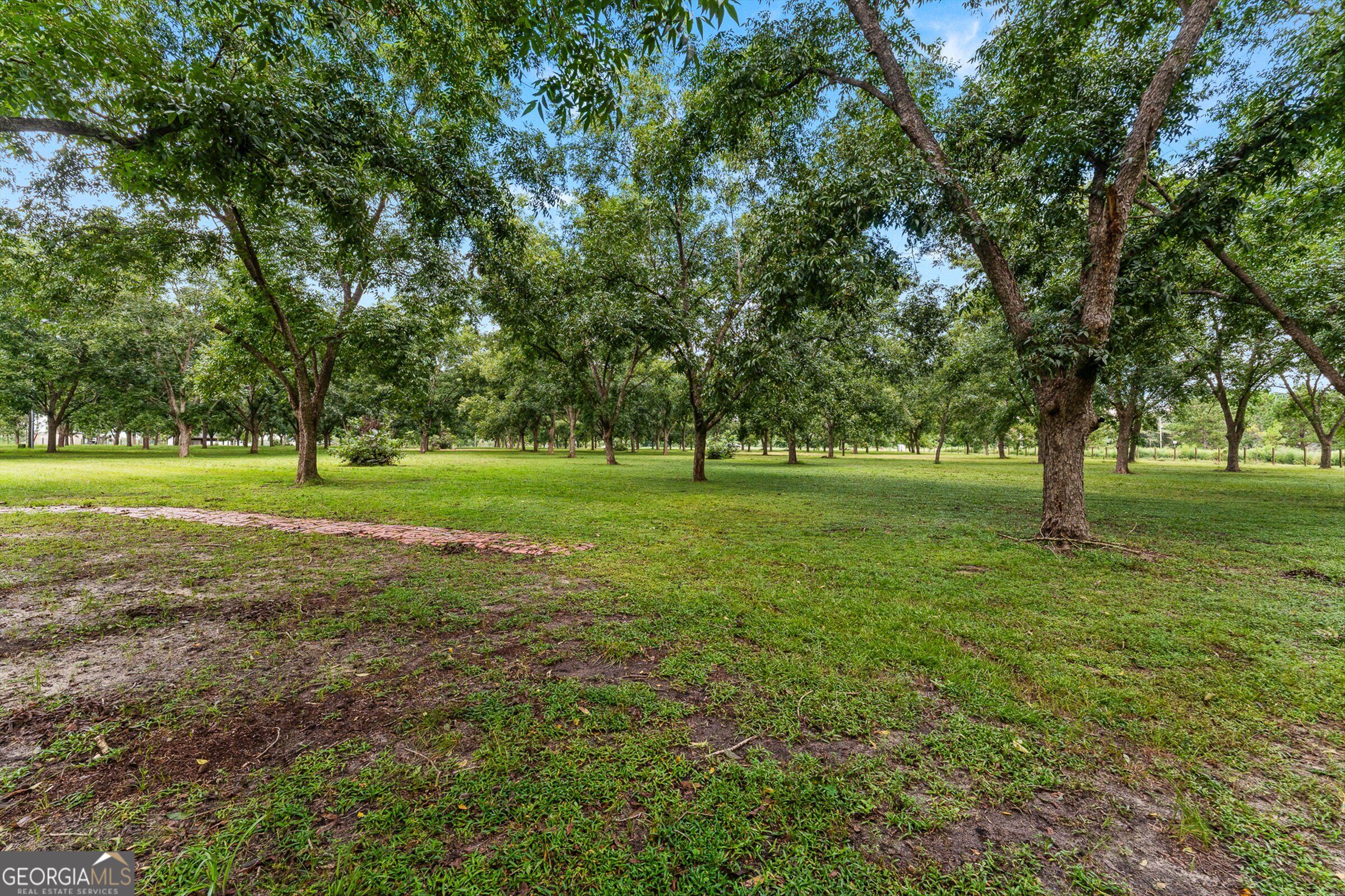 7919 Hwy 84 E Property Photo 56