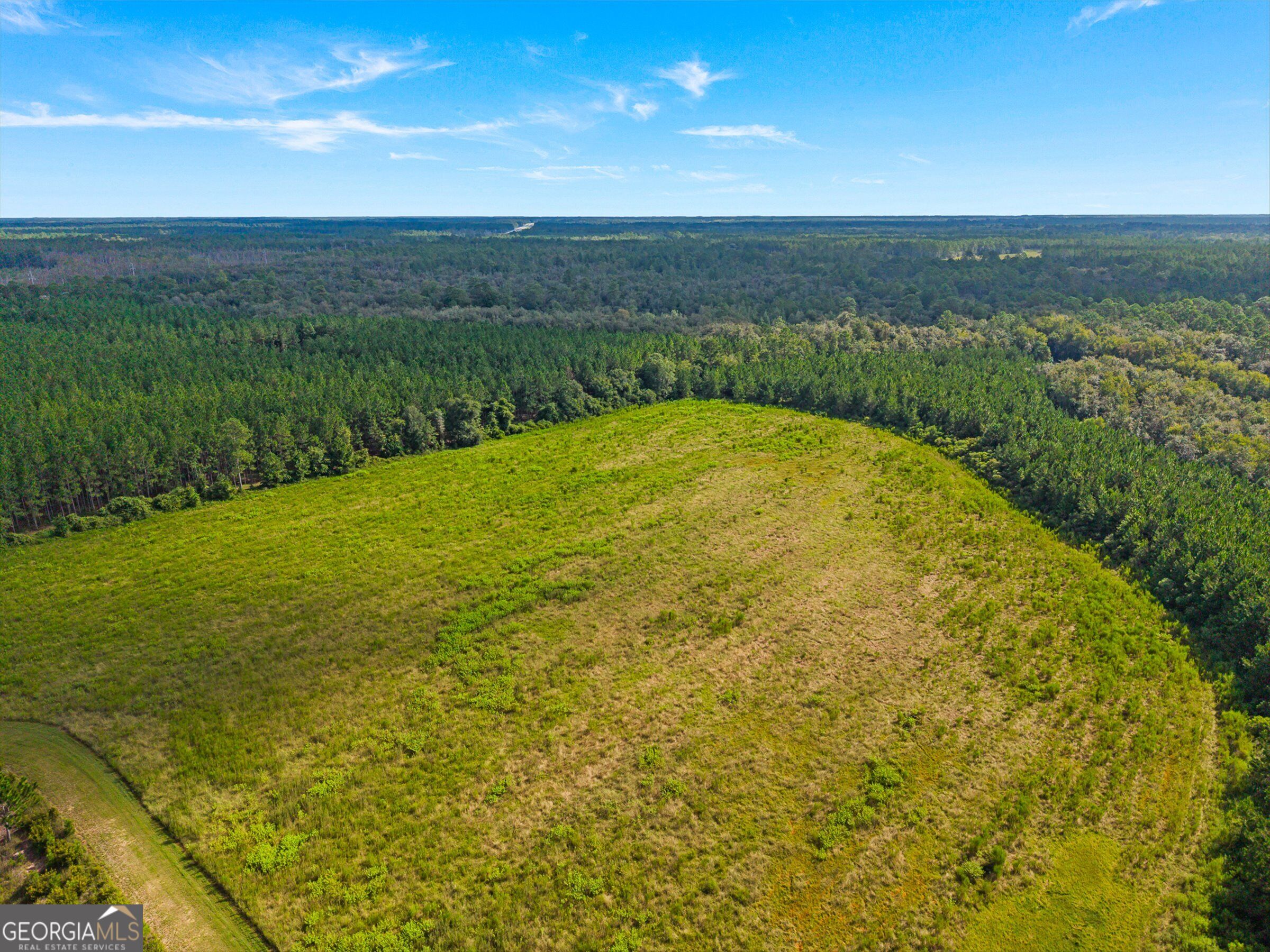 7919 Hwy 84 E Property Photo 63