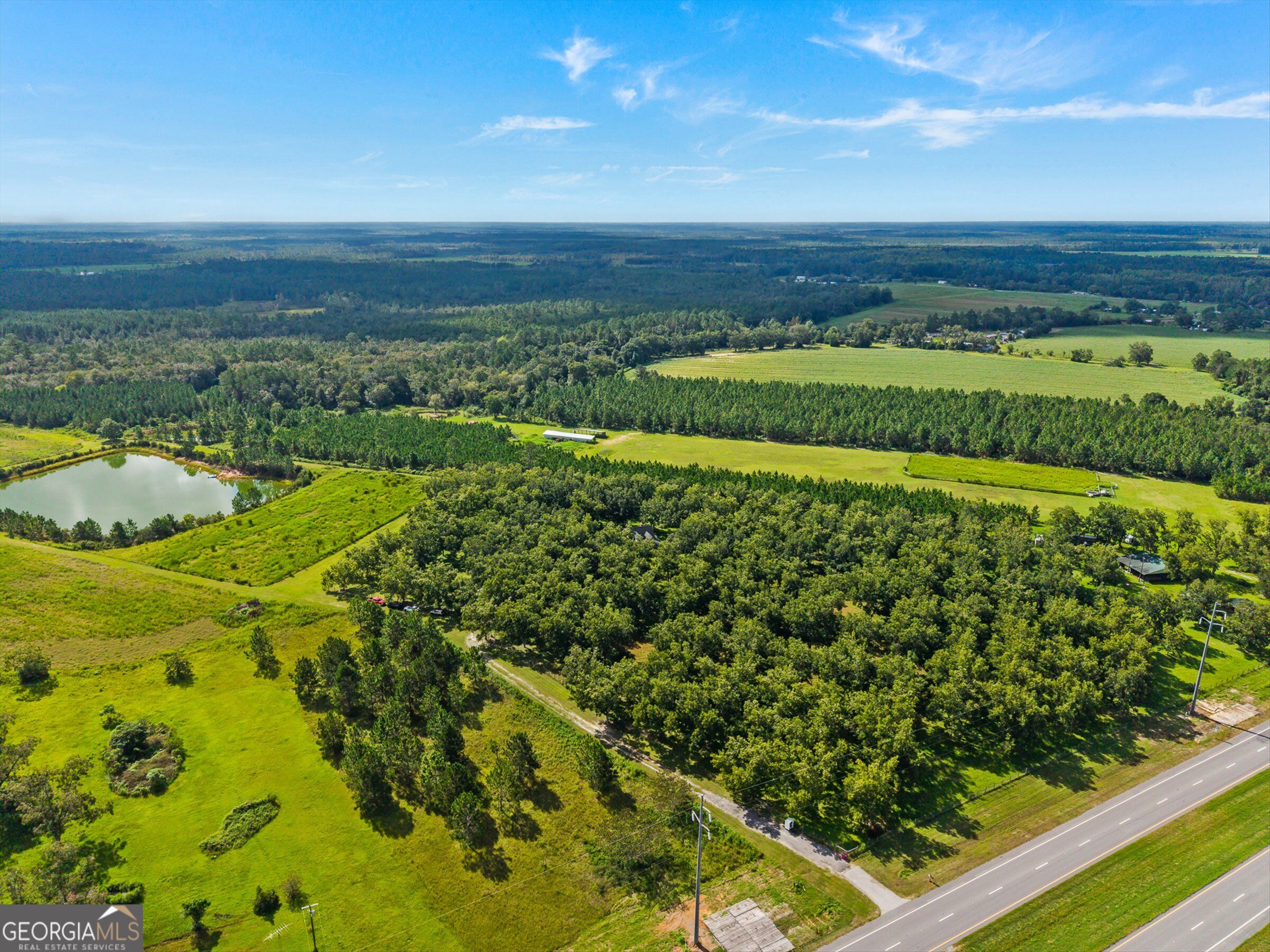 7919 Hwy 84 E Property Photo 65
