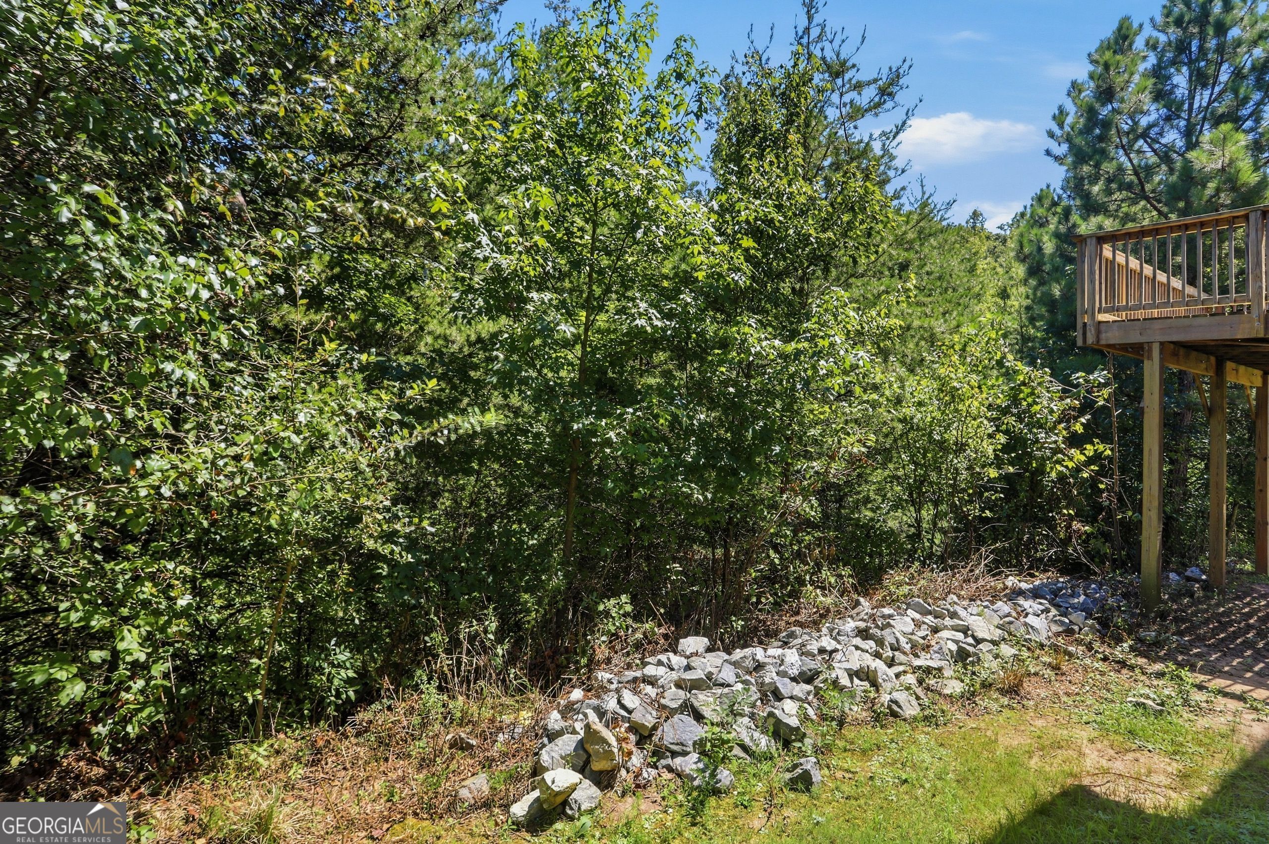 469 Flowing Trail Property Photo 43