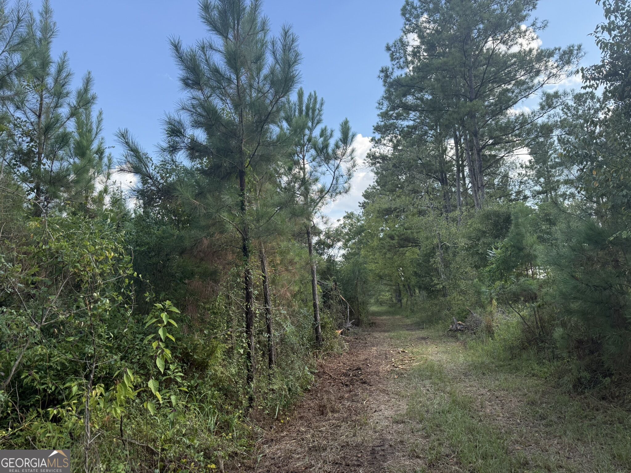 002 George Milling Road Property Photo 3