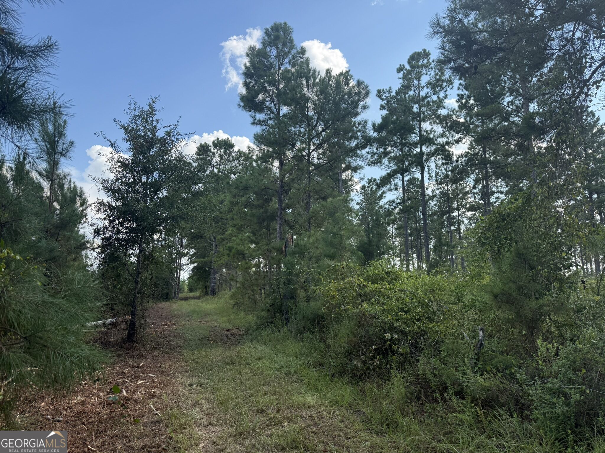 002 George Milling Road Property Photo 4