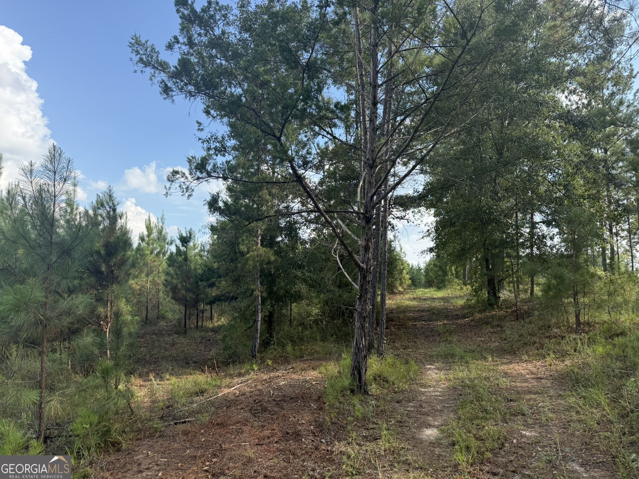 002 George Milling Road Property Photo 5