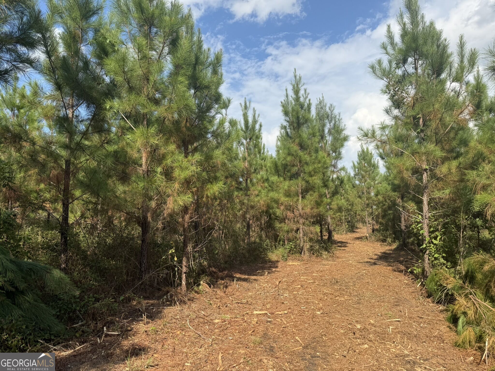 002 George Milling Road Property Photo 6