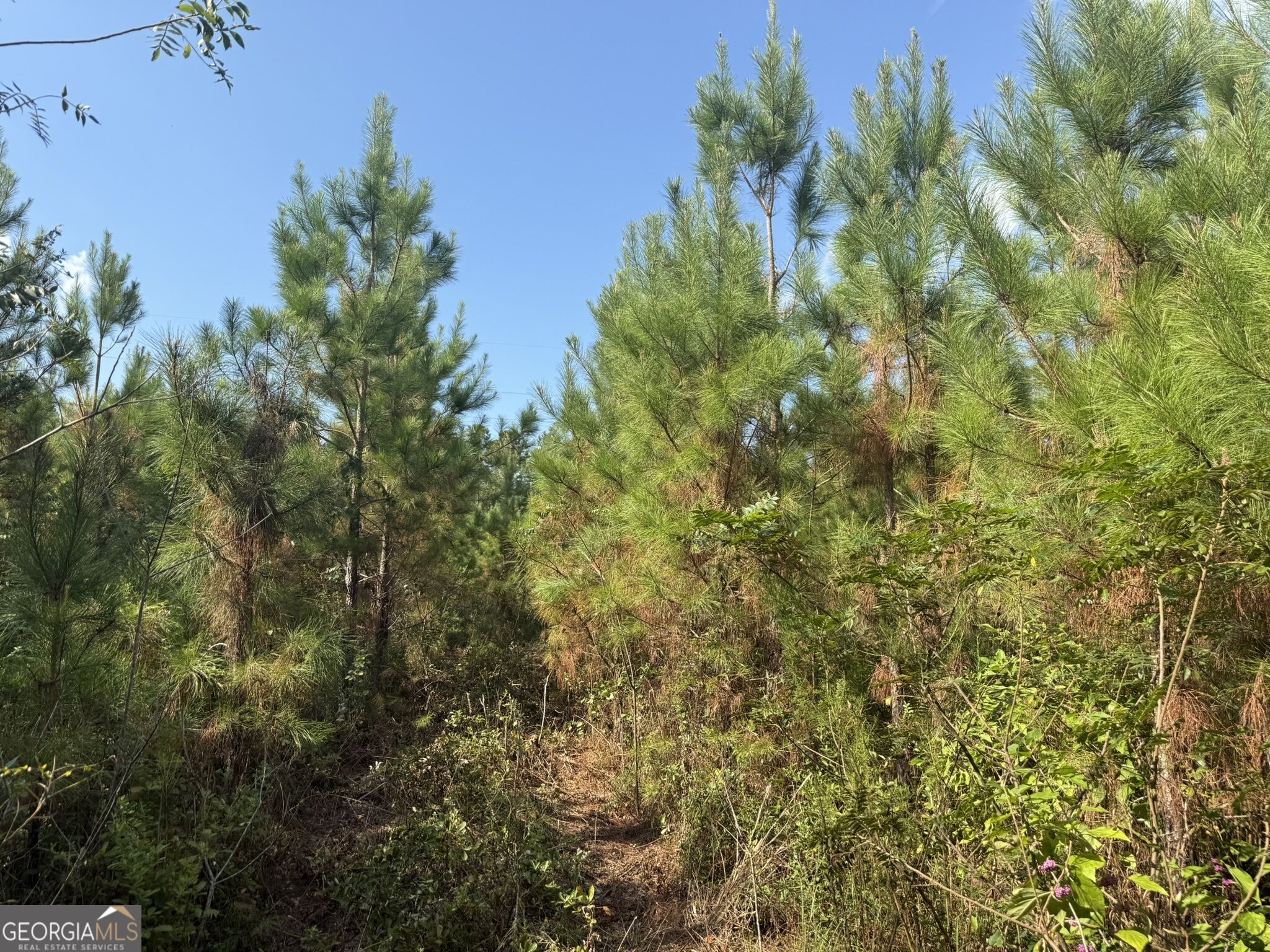 002 George Milling Road Property Photo 8