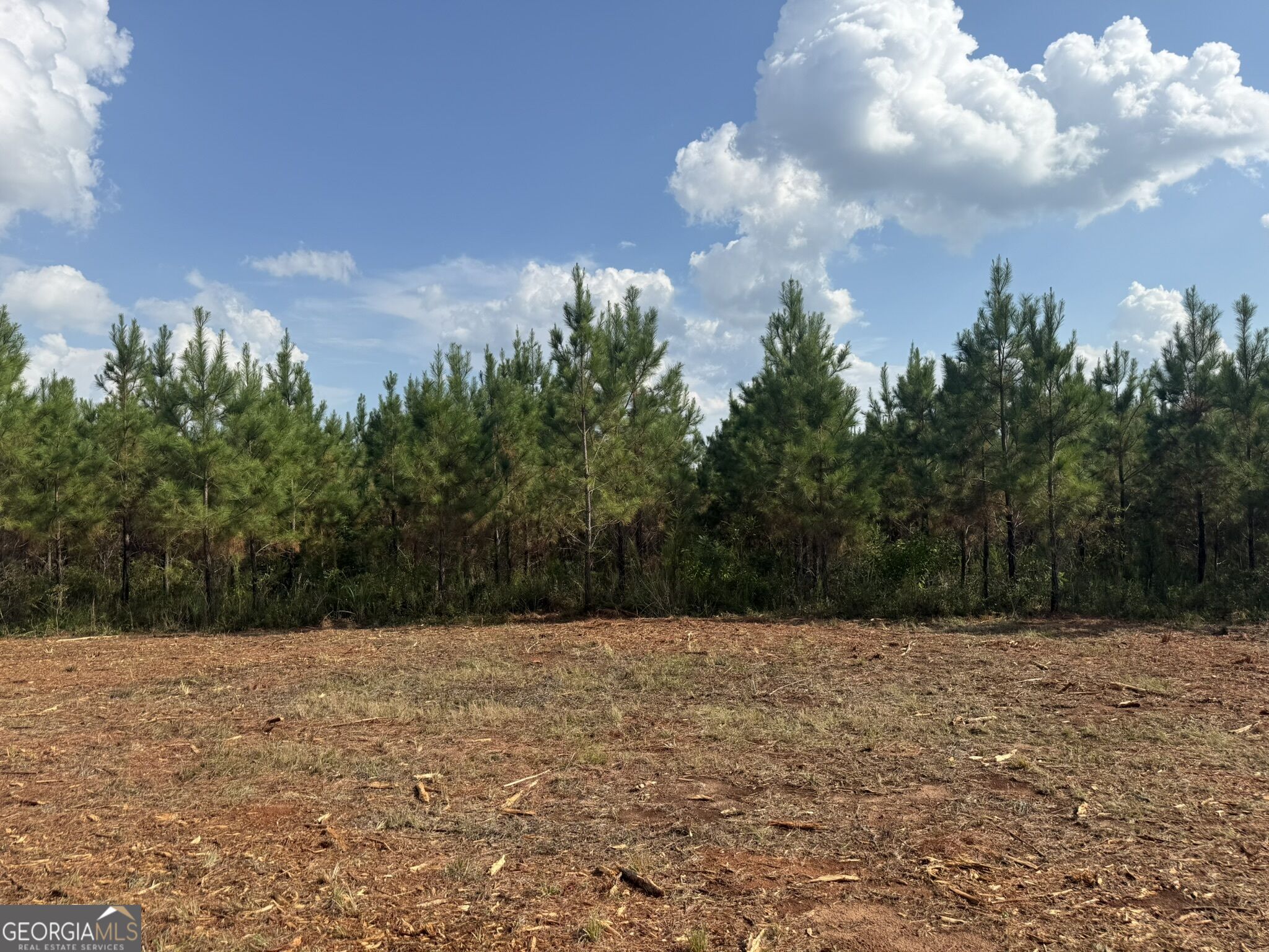 002 George Milling Road Property Photo 10