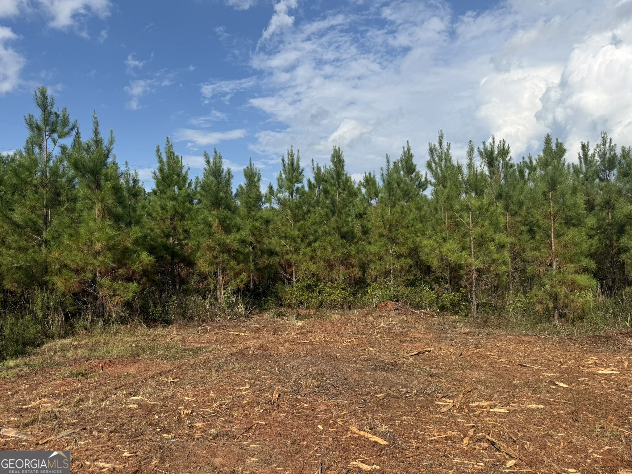 002 George Milling Road Property Photo 11