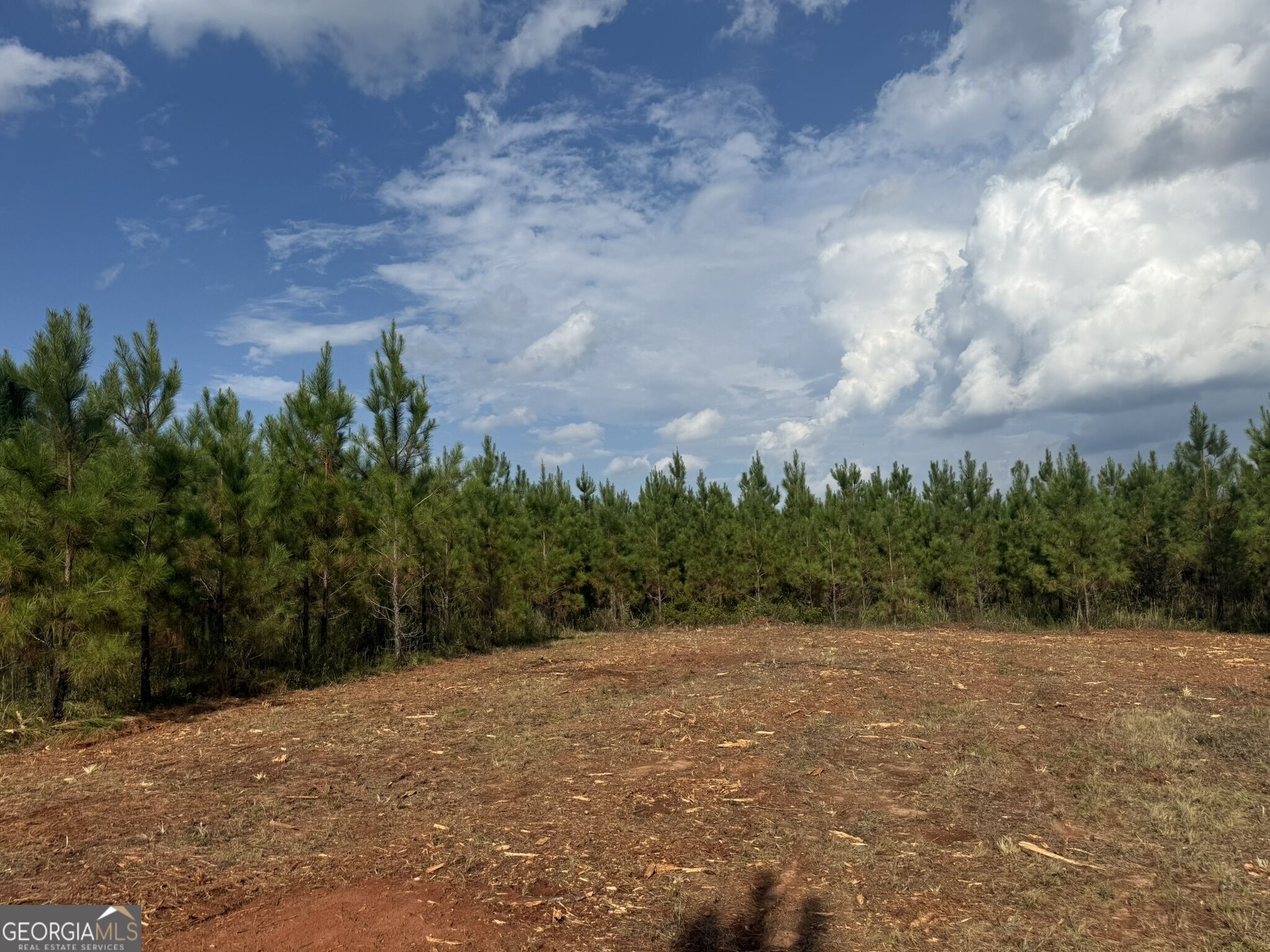 002 George Milling Road Property Photo 13