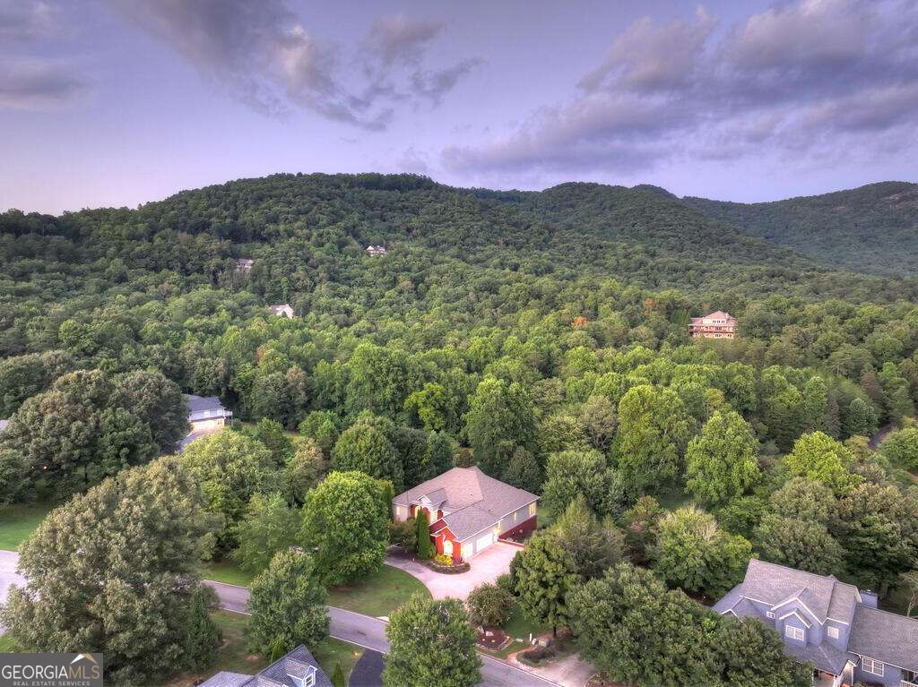4165 Asheland Cove Drive Property Photo 61