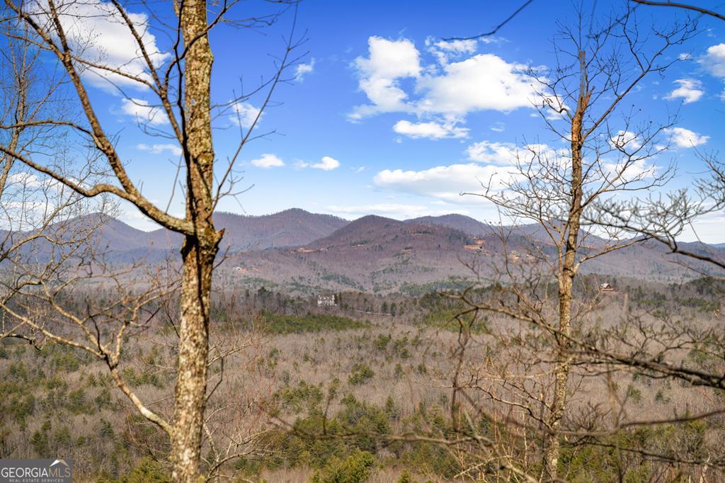 Lot 20 Raven Ridge Circle Property Photo 1