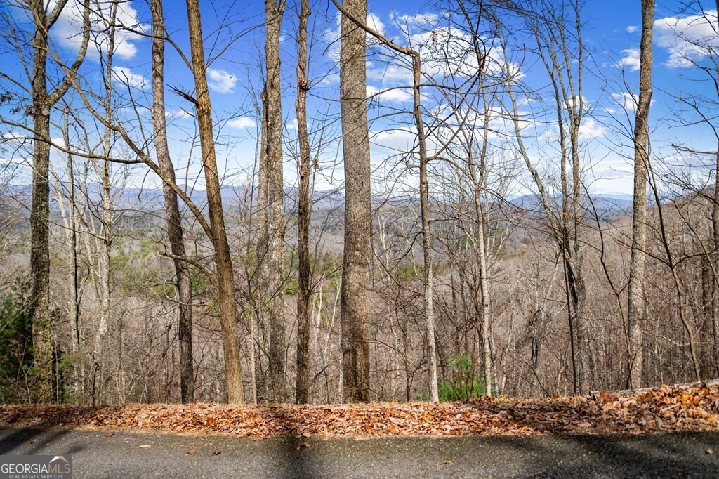 Lot 20 Raven Ridge Circle Property Photo 2