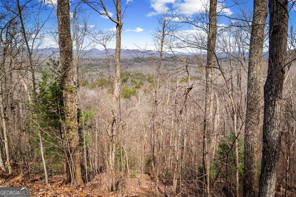 Lot 20 Raven Ridge Circle Property Photo 3