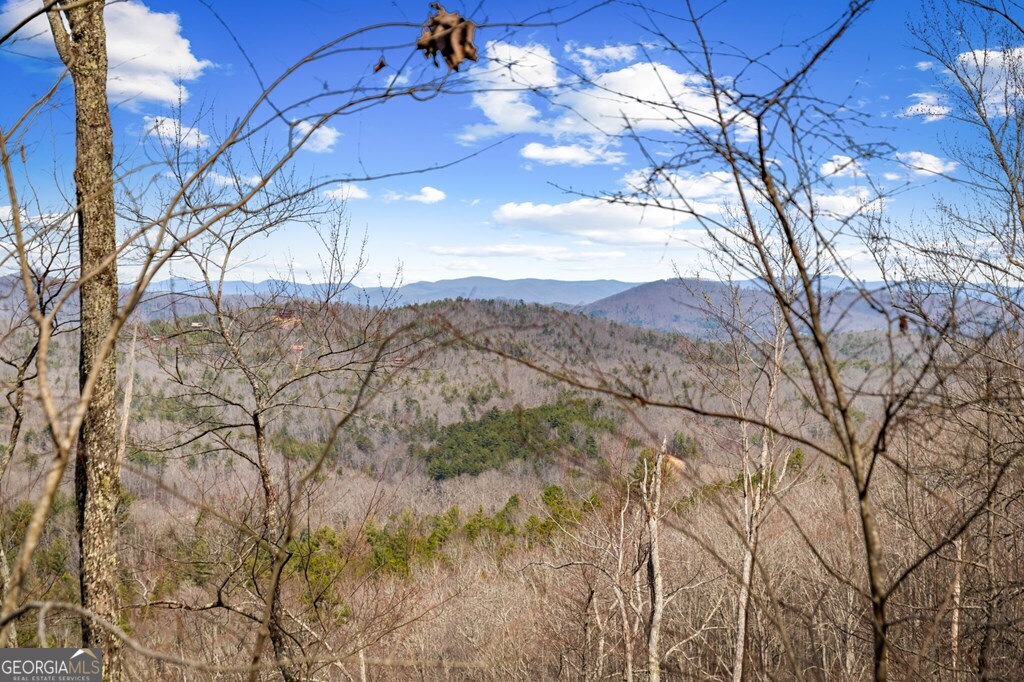 Lot 20 Raven Ridge Circle Property Photo 5