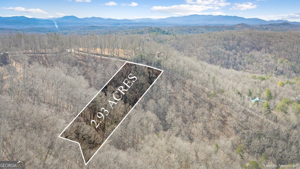 Lot 20 Raven Ridge Circle Property Photo 6