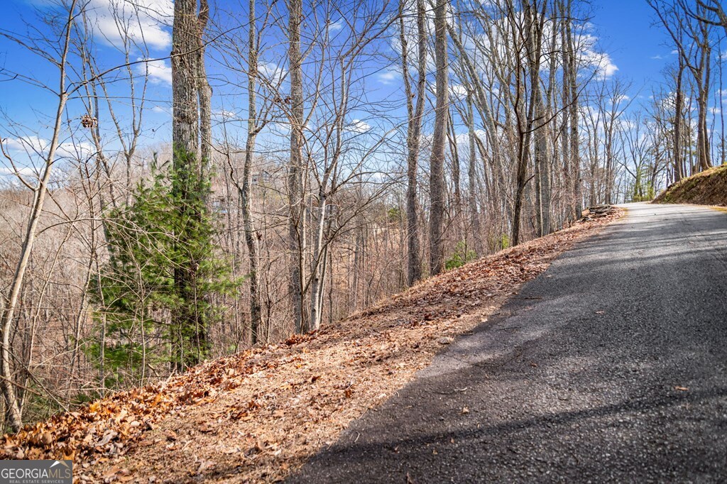 Lot 20 Raven Ridge Circle Property Photo 7