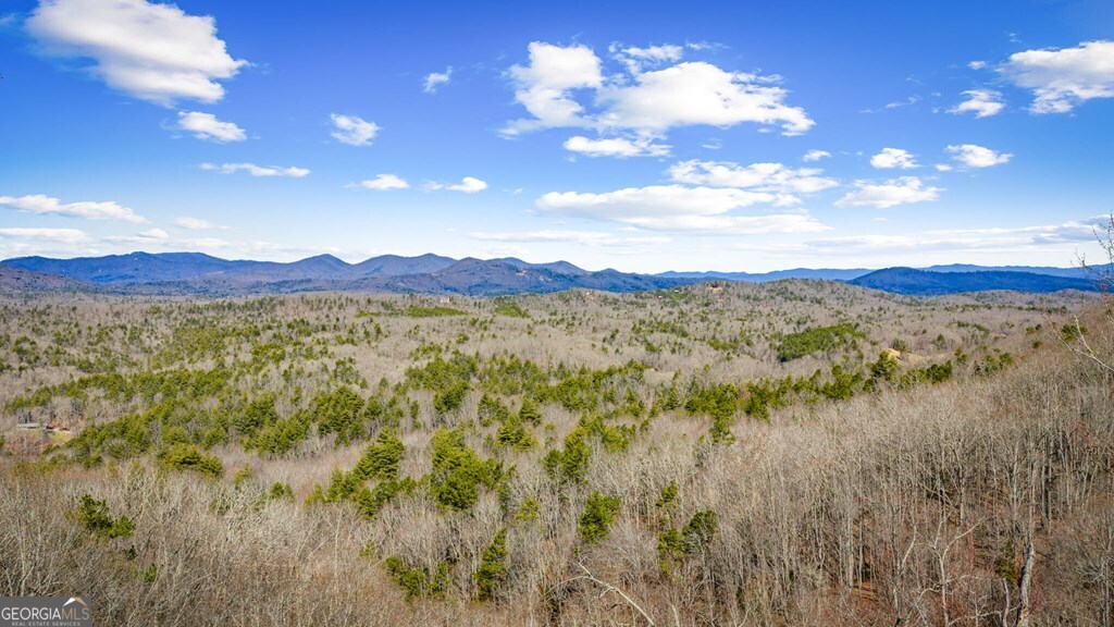 Lot 20 Raven Ridge Circle Property Photo 8